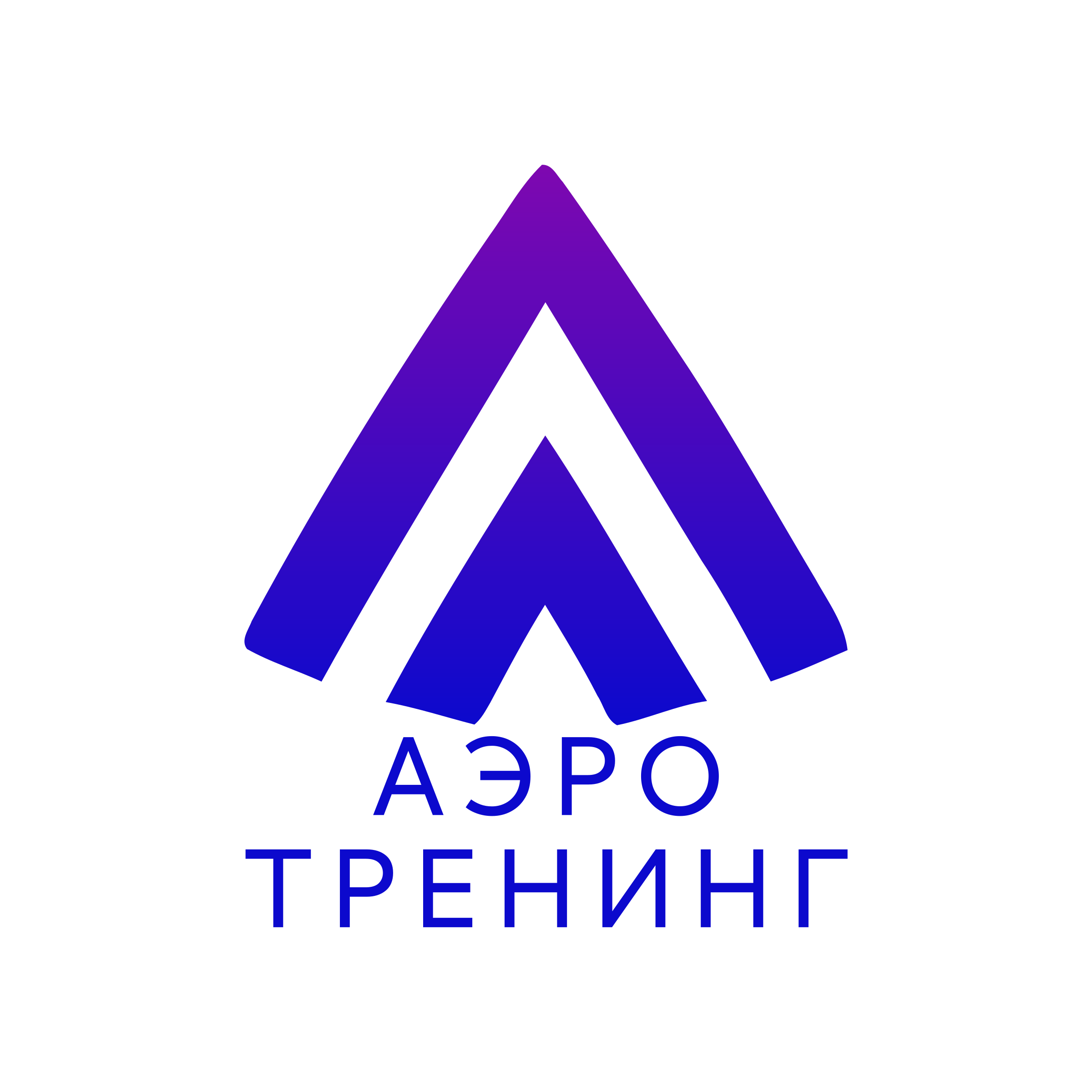 Логотип компании «Аэро тренинг»