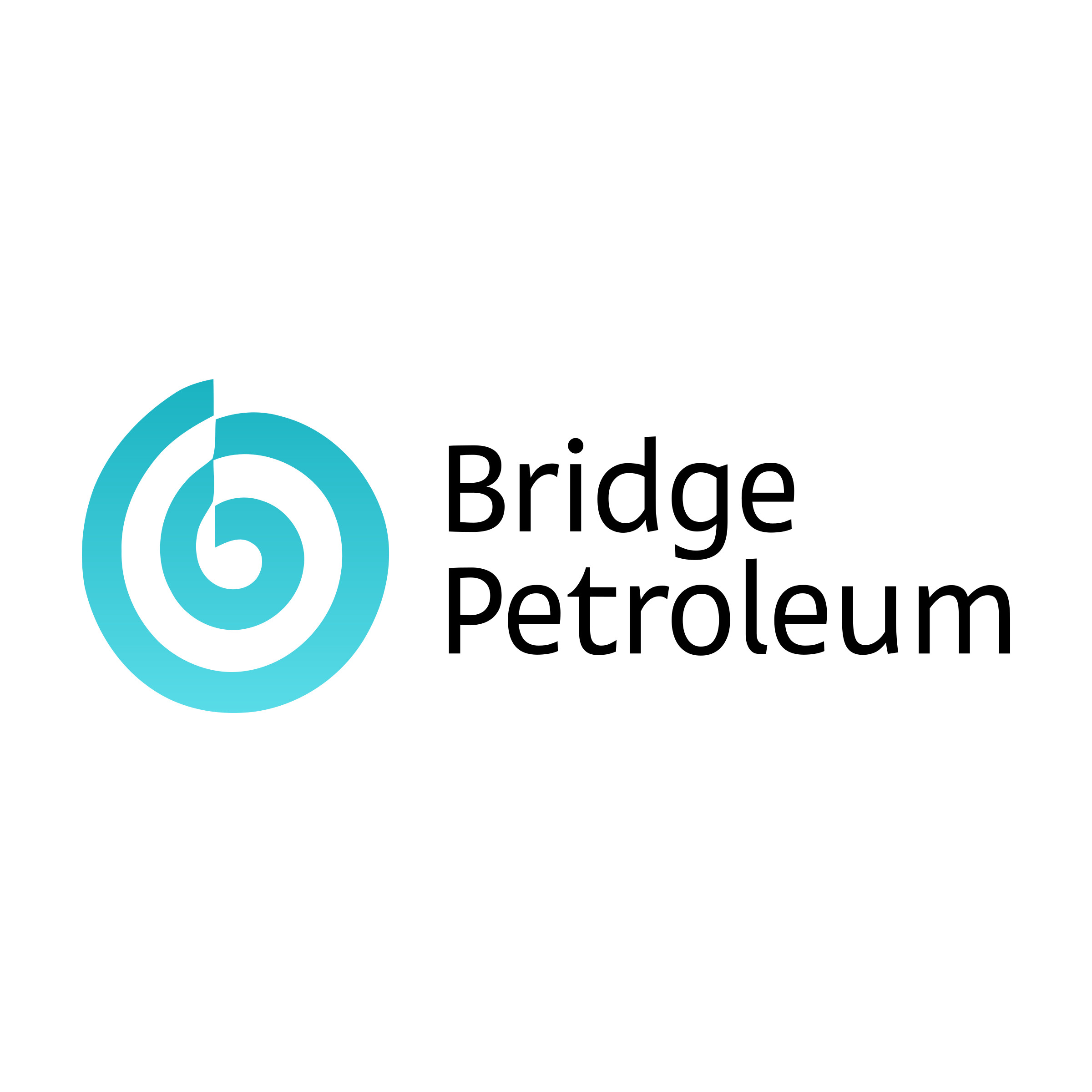 Company logo «Bridge Petroleum»