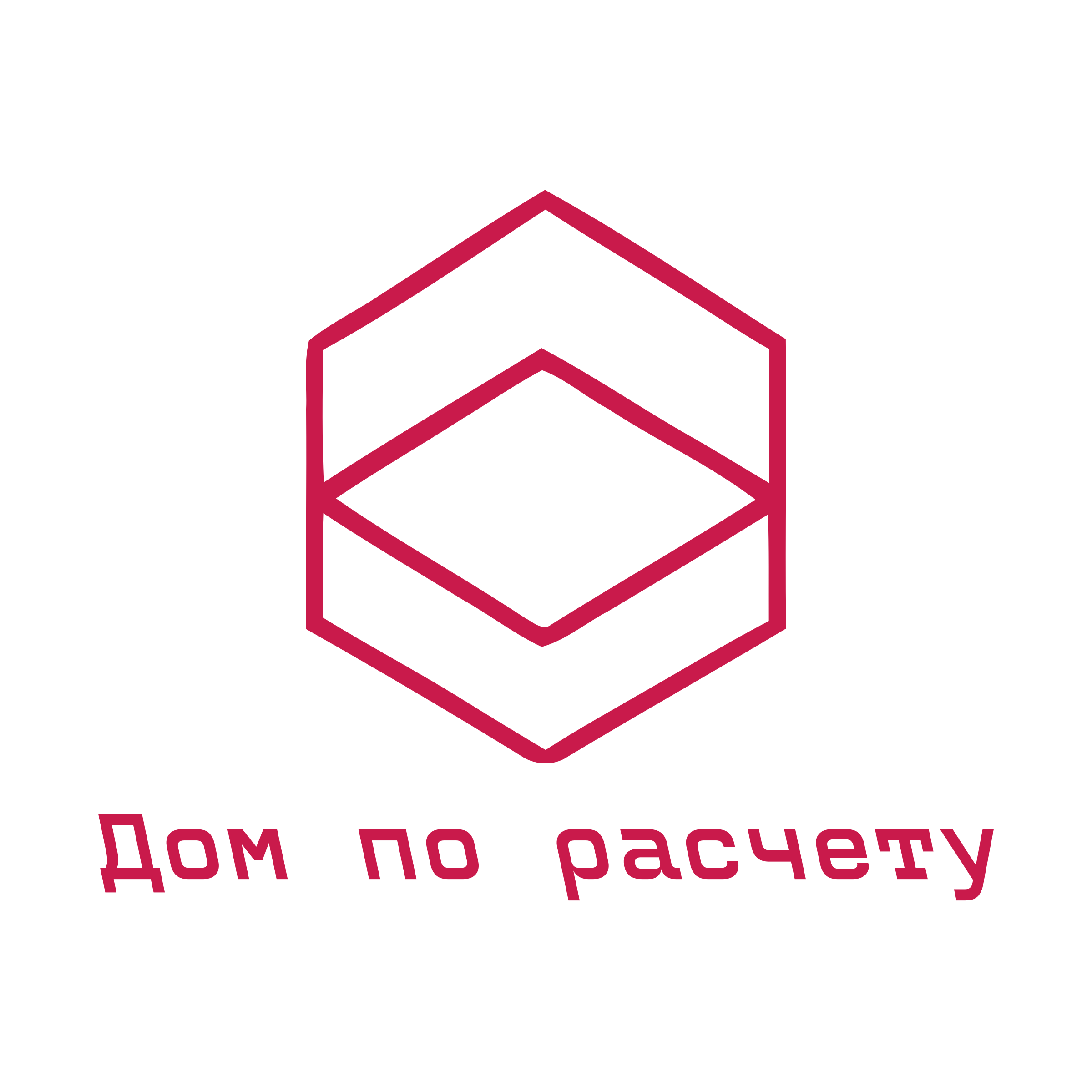 Company logo «Дом по расчету»