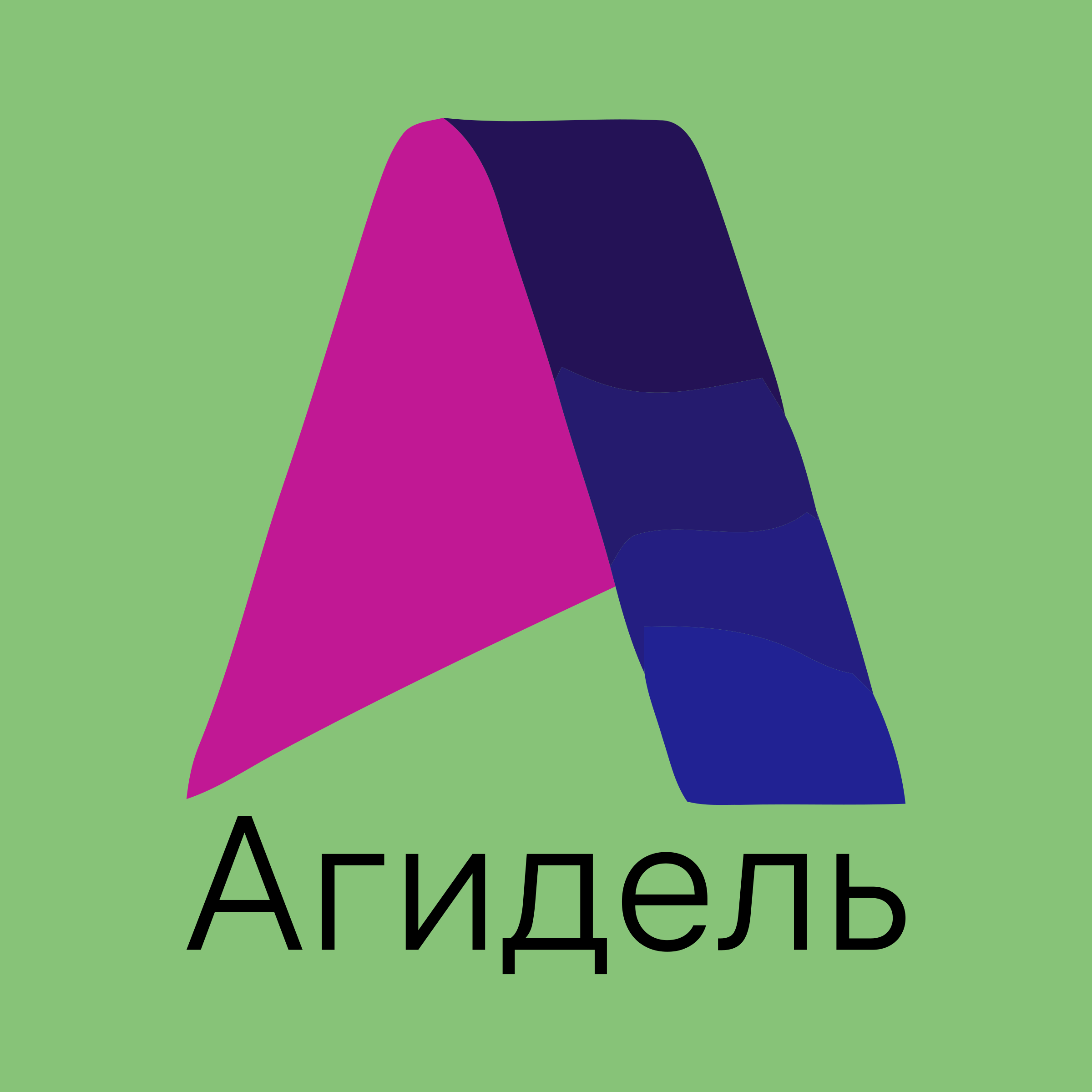 Company logo «Агидель»