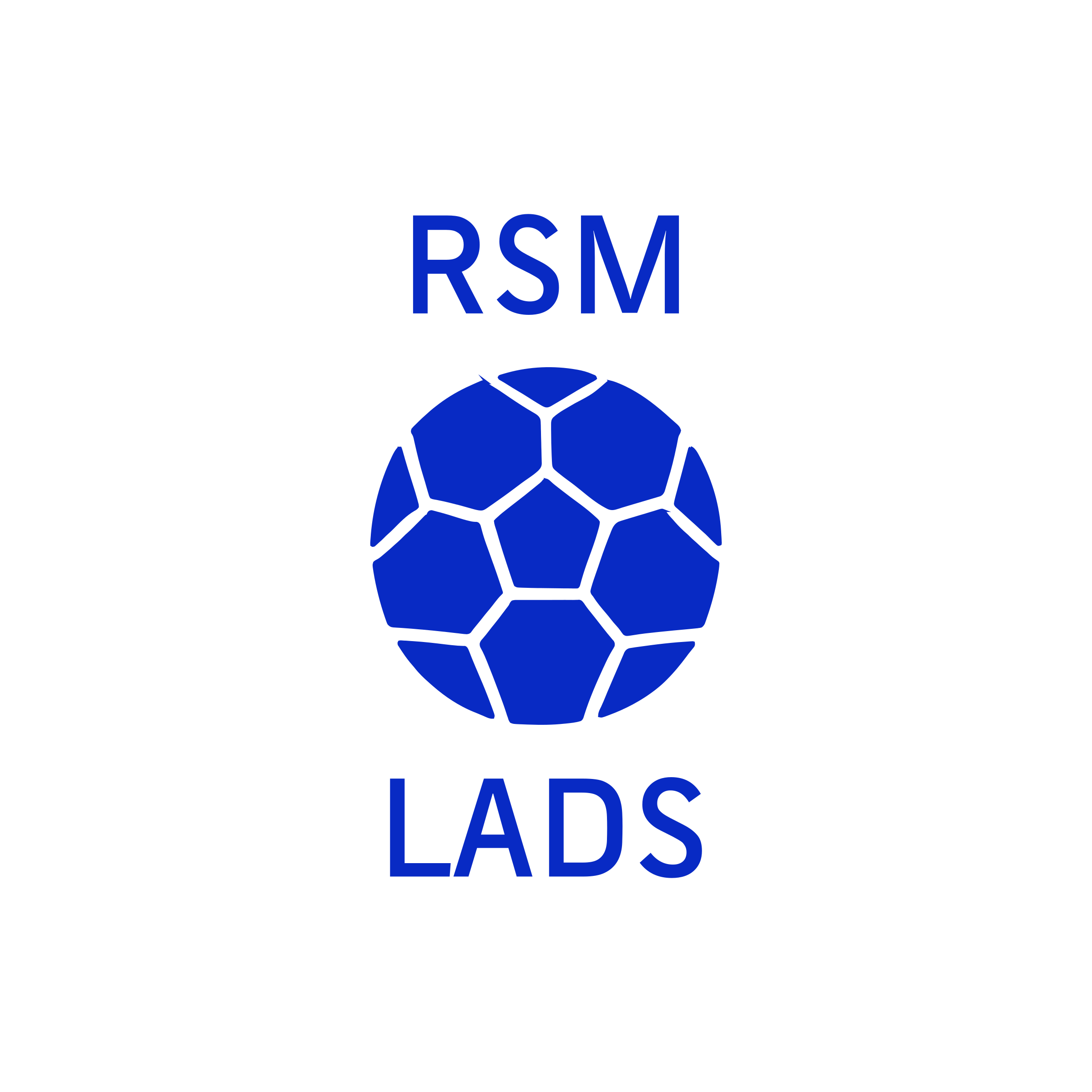 Логотип компании «RSM LADS»