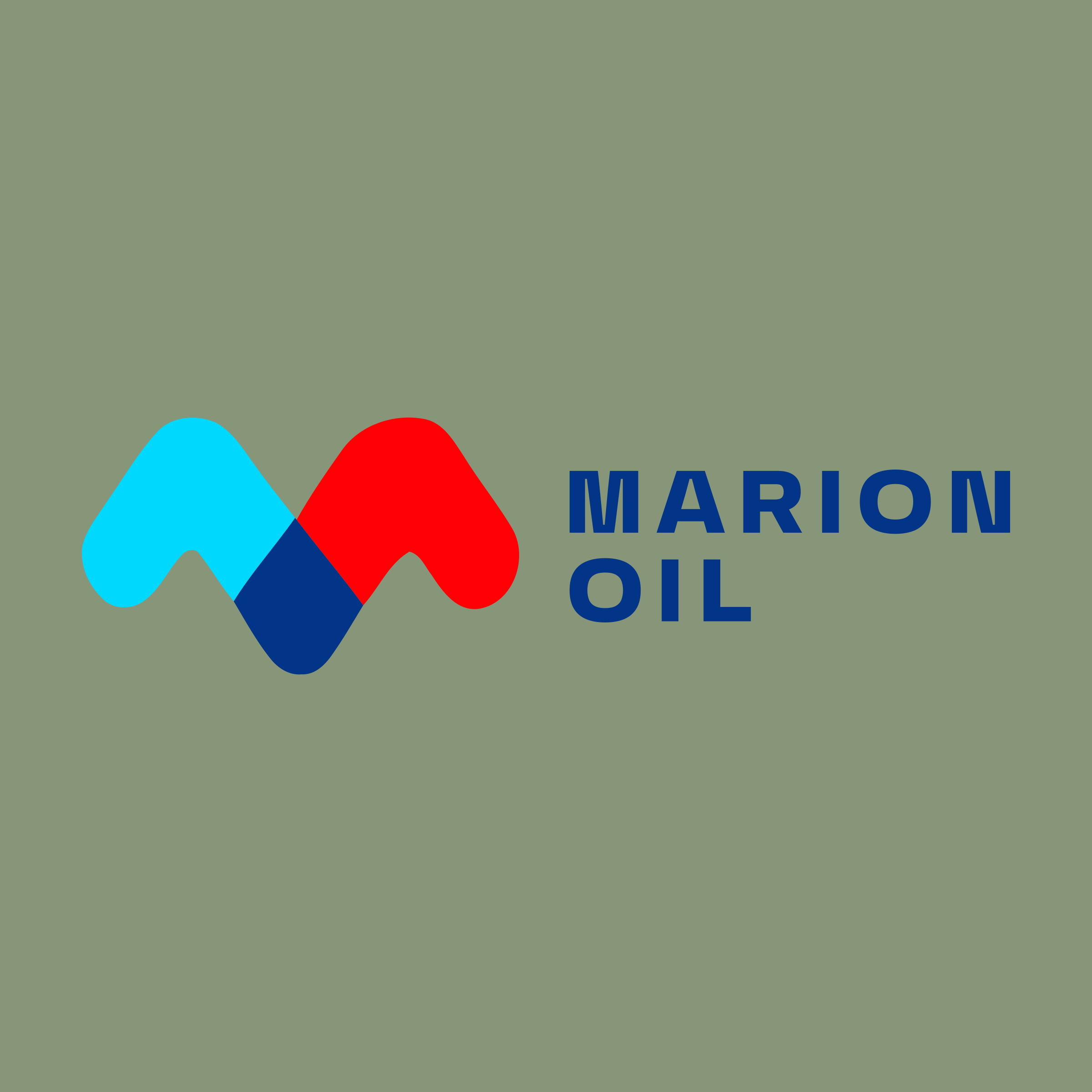 Company logo «MARION OIL»