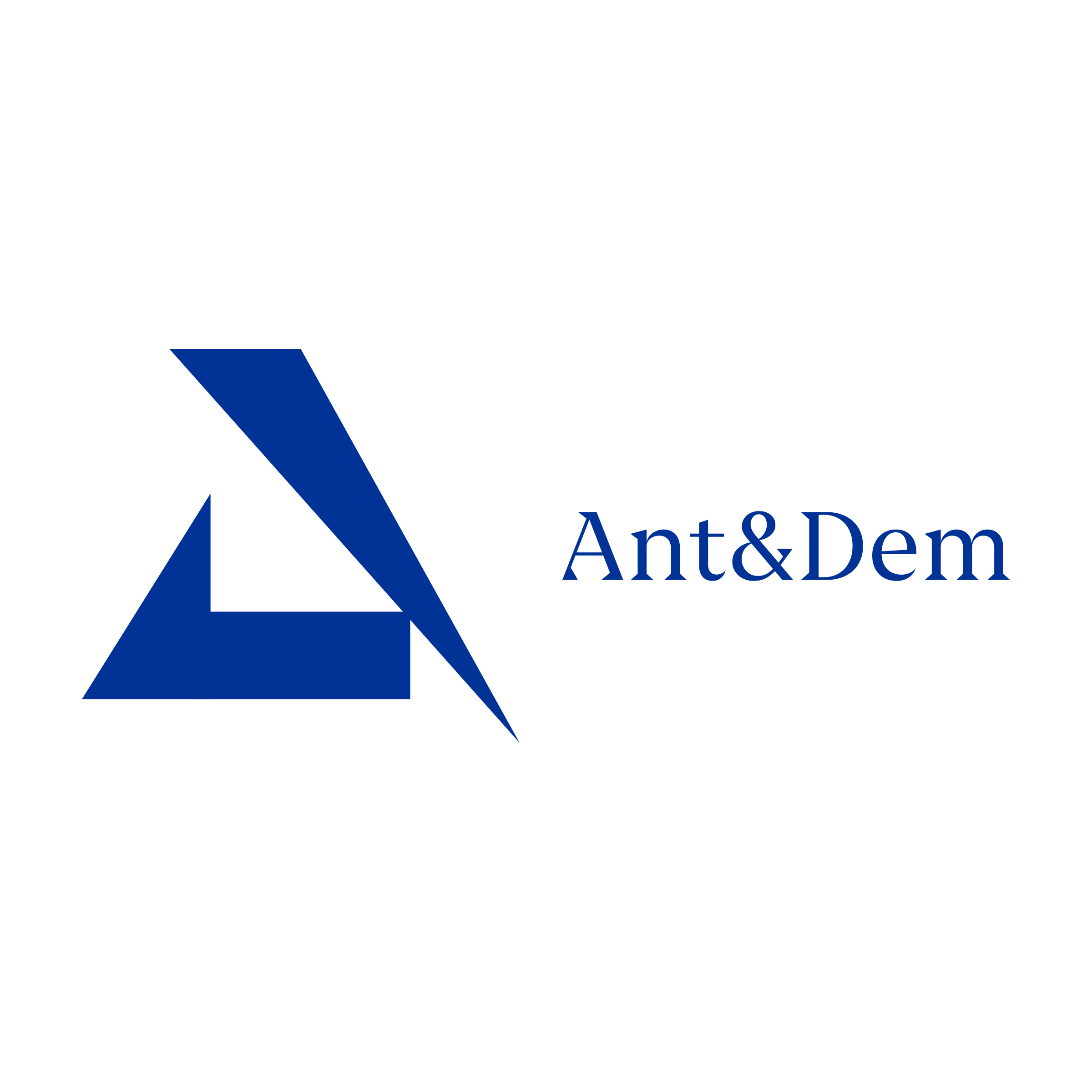 Company logo «Ant&Dem»