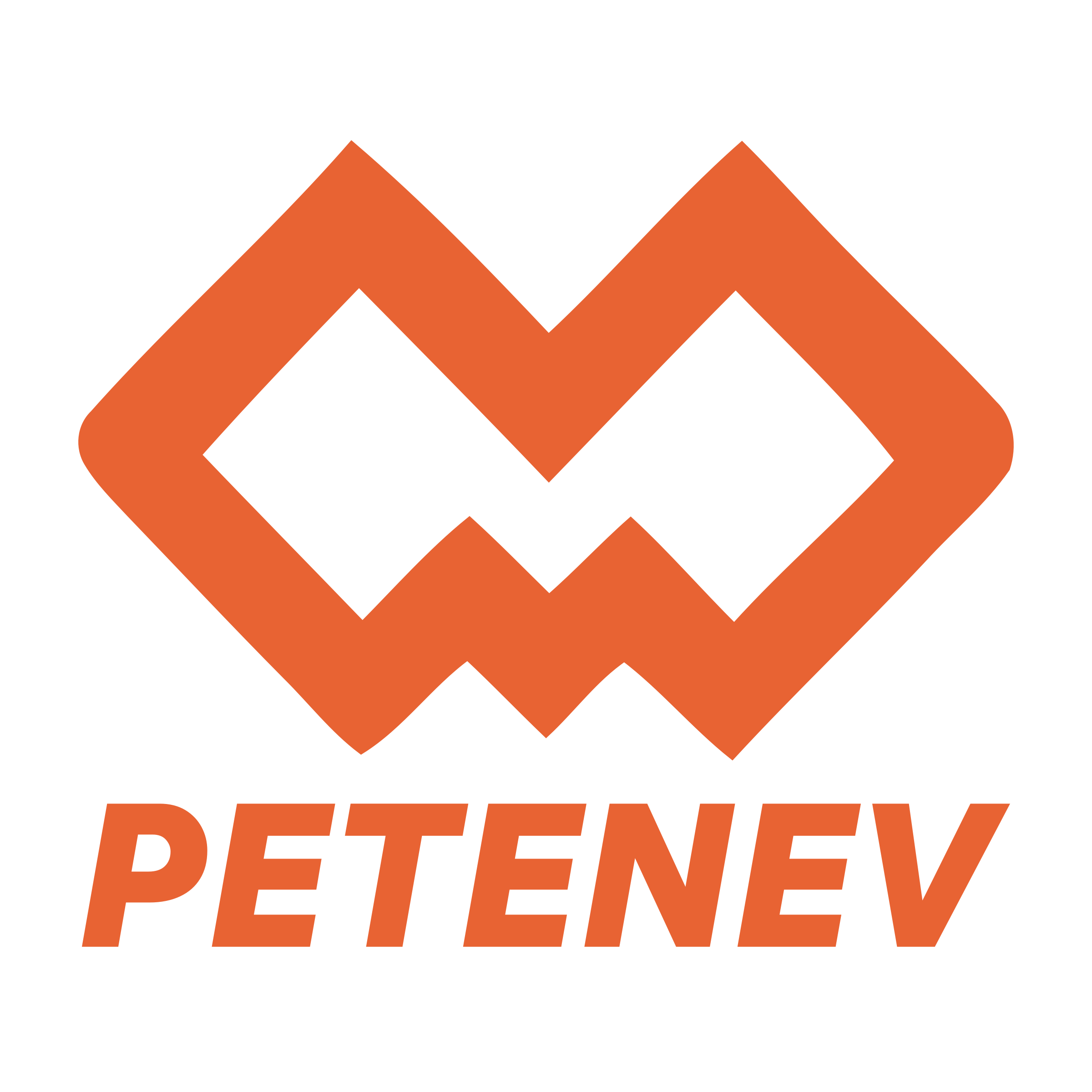 Company logo «PETENEV»