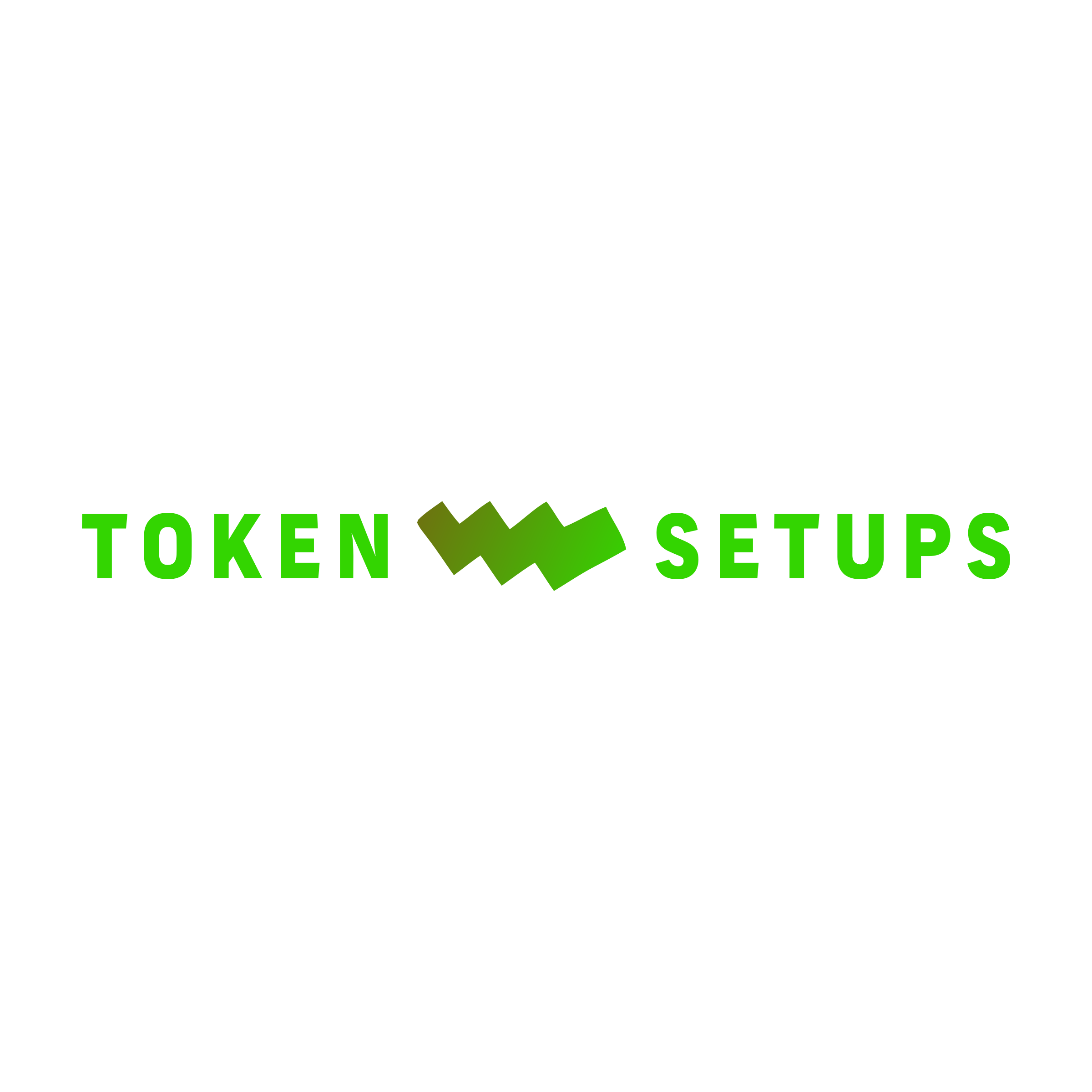 Company logo «token setups»