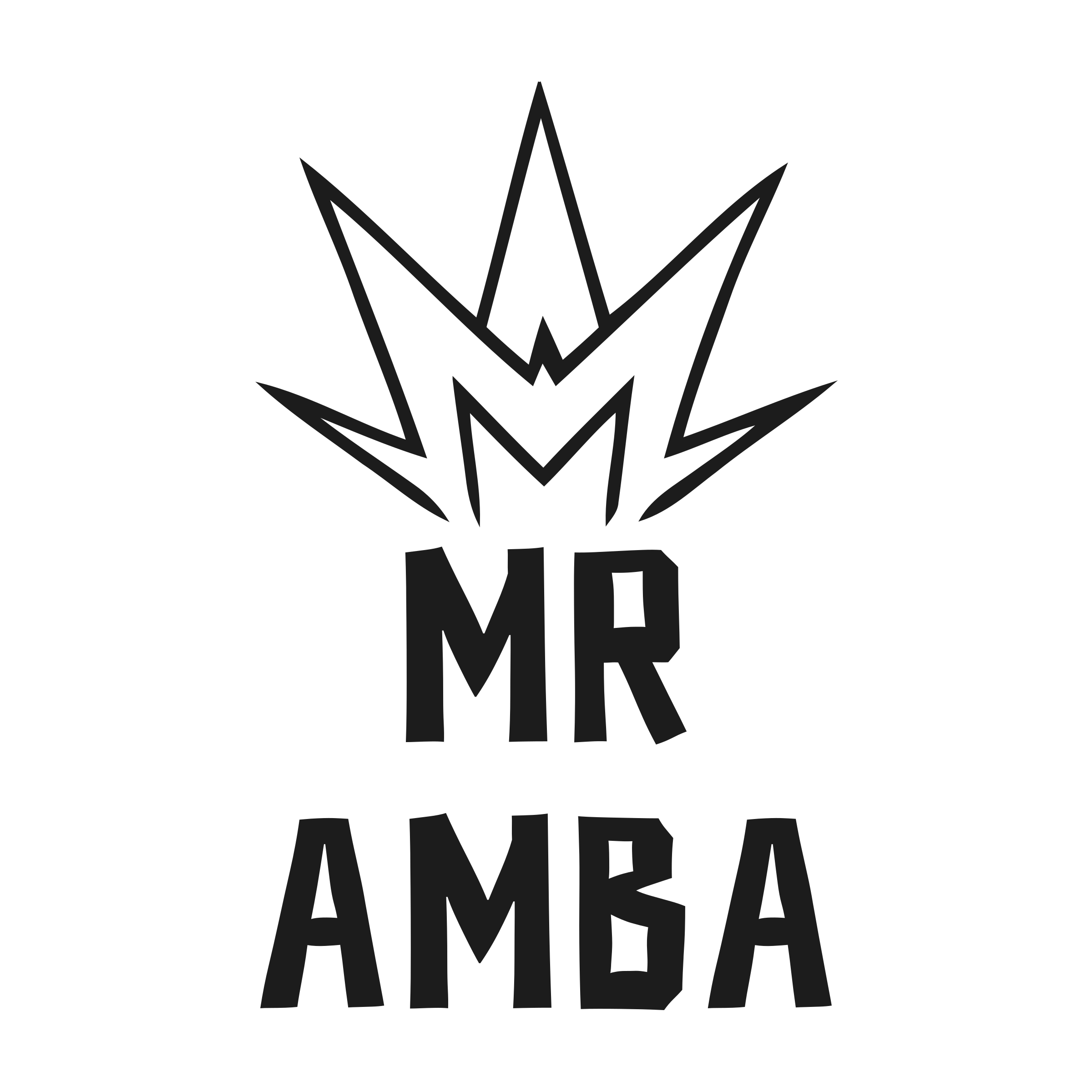 Company logo «Mr Amba»