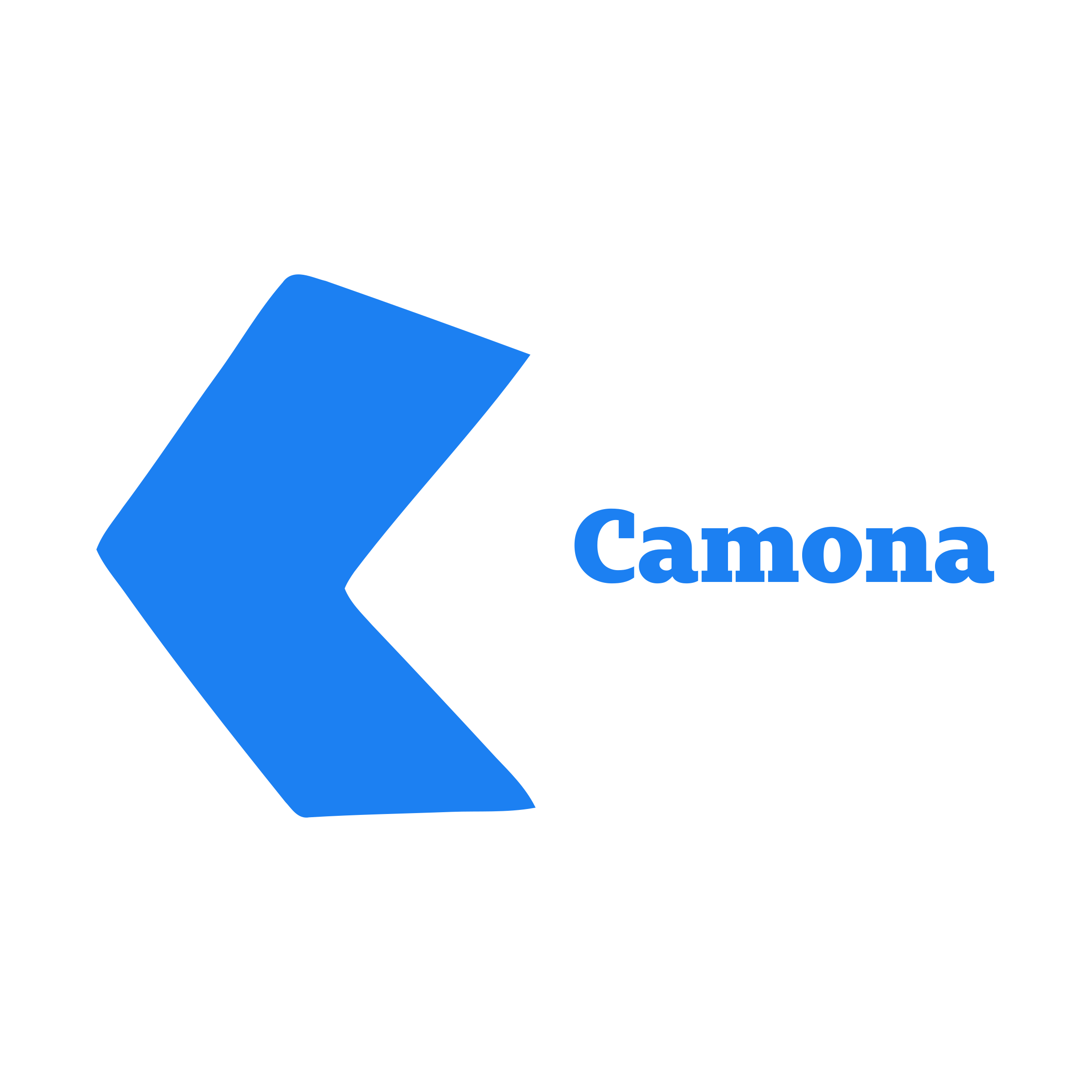 Логотип компании «Camona»