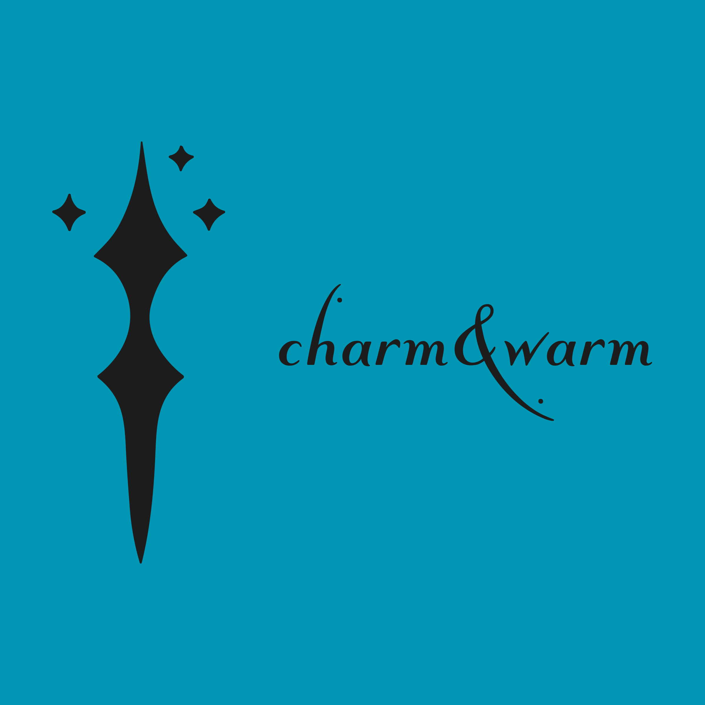 Логотип компании «charm & warm»