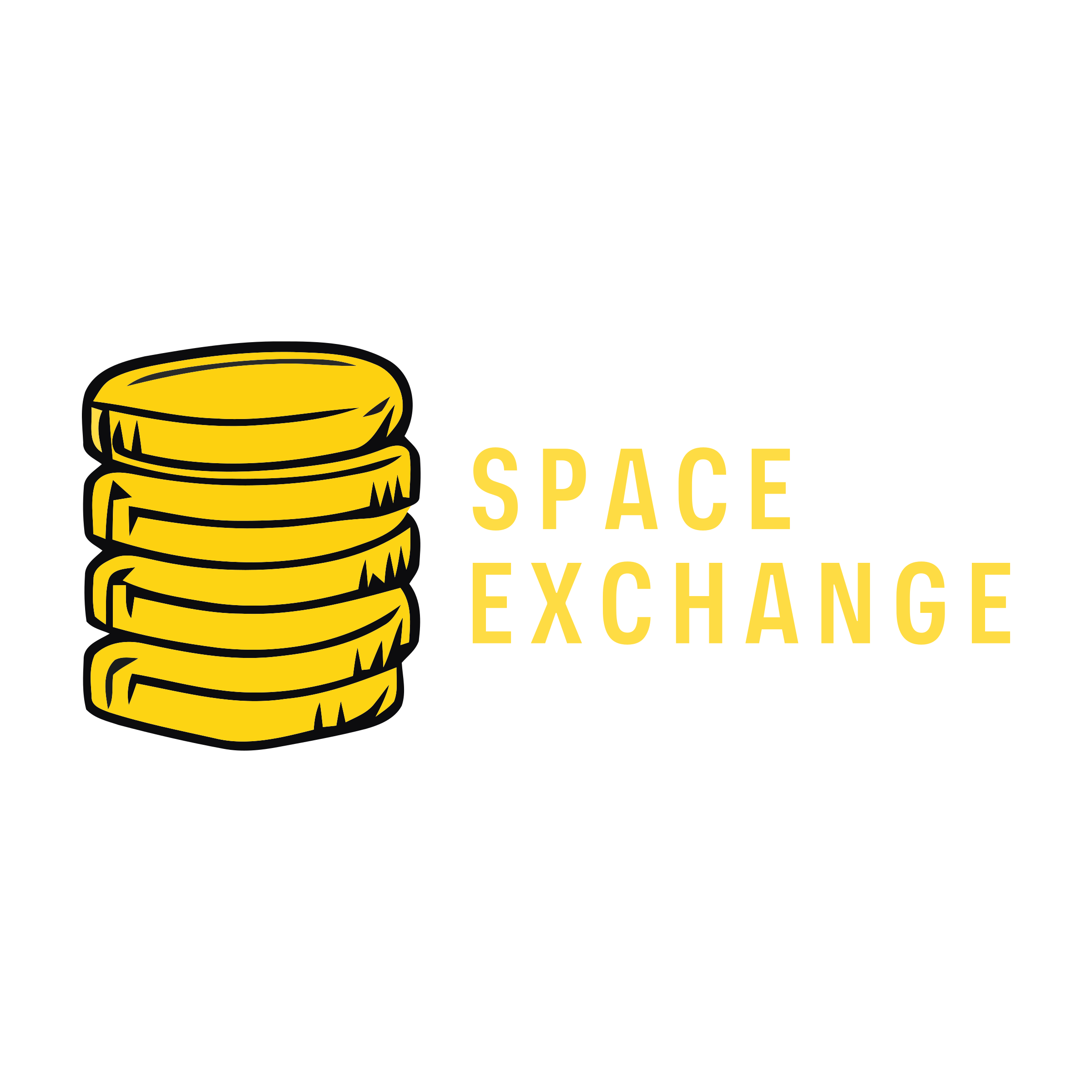 Company logo «Space Exchange»