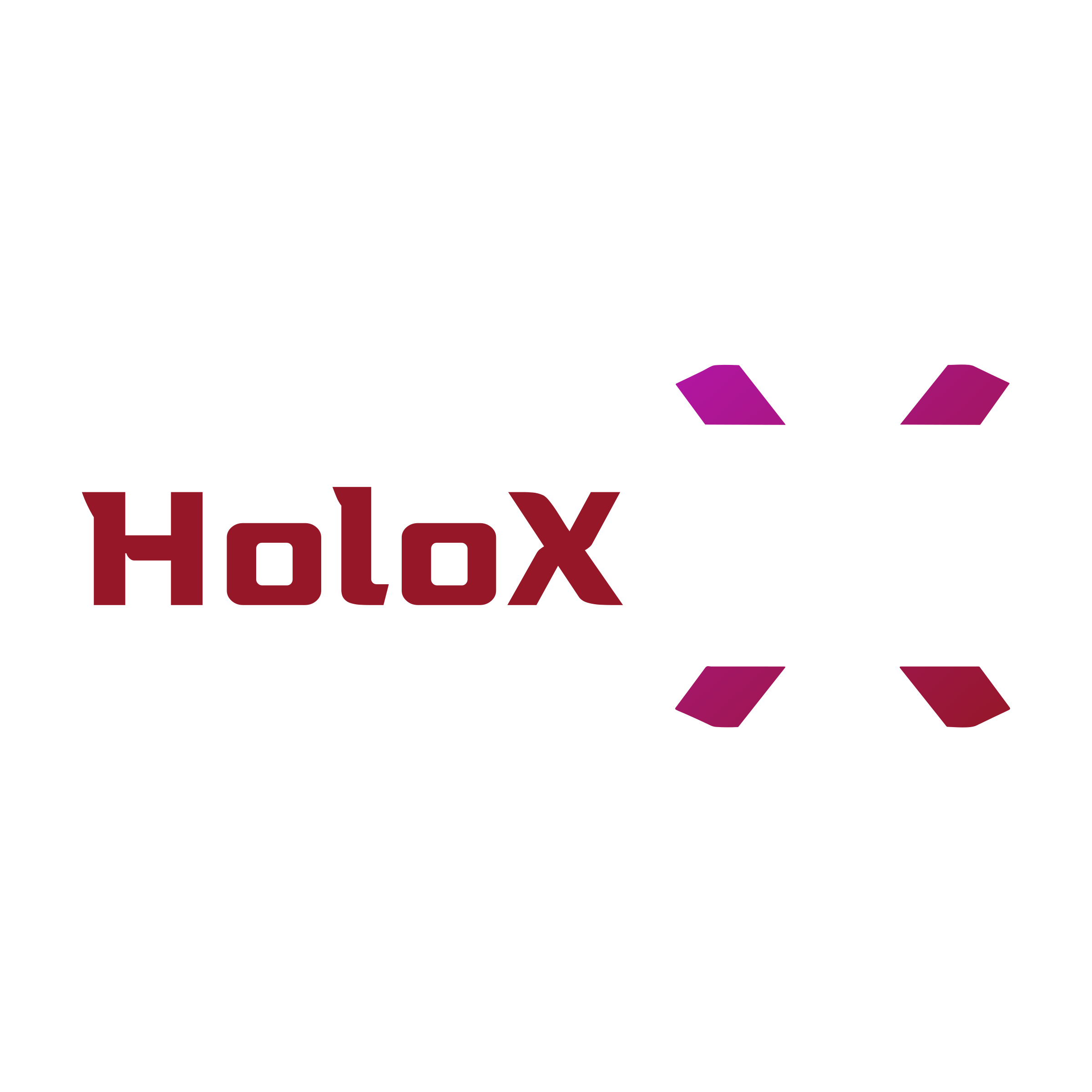 Логотип компании «HoloX»