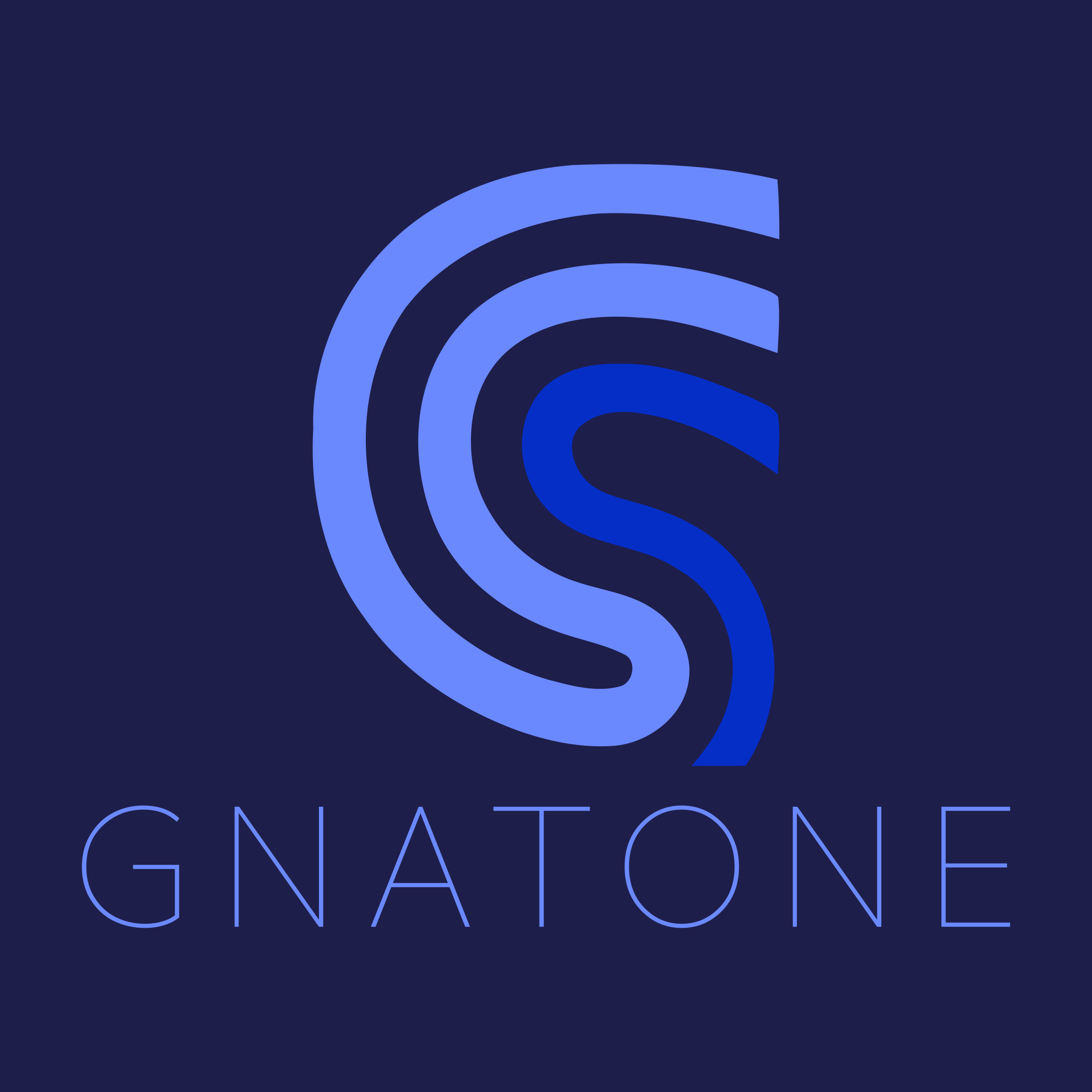 Логотип компании «GnatOne»