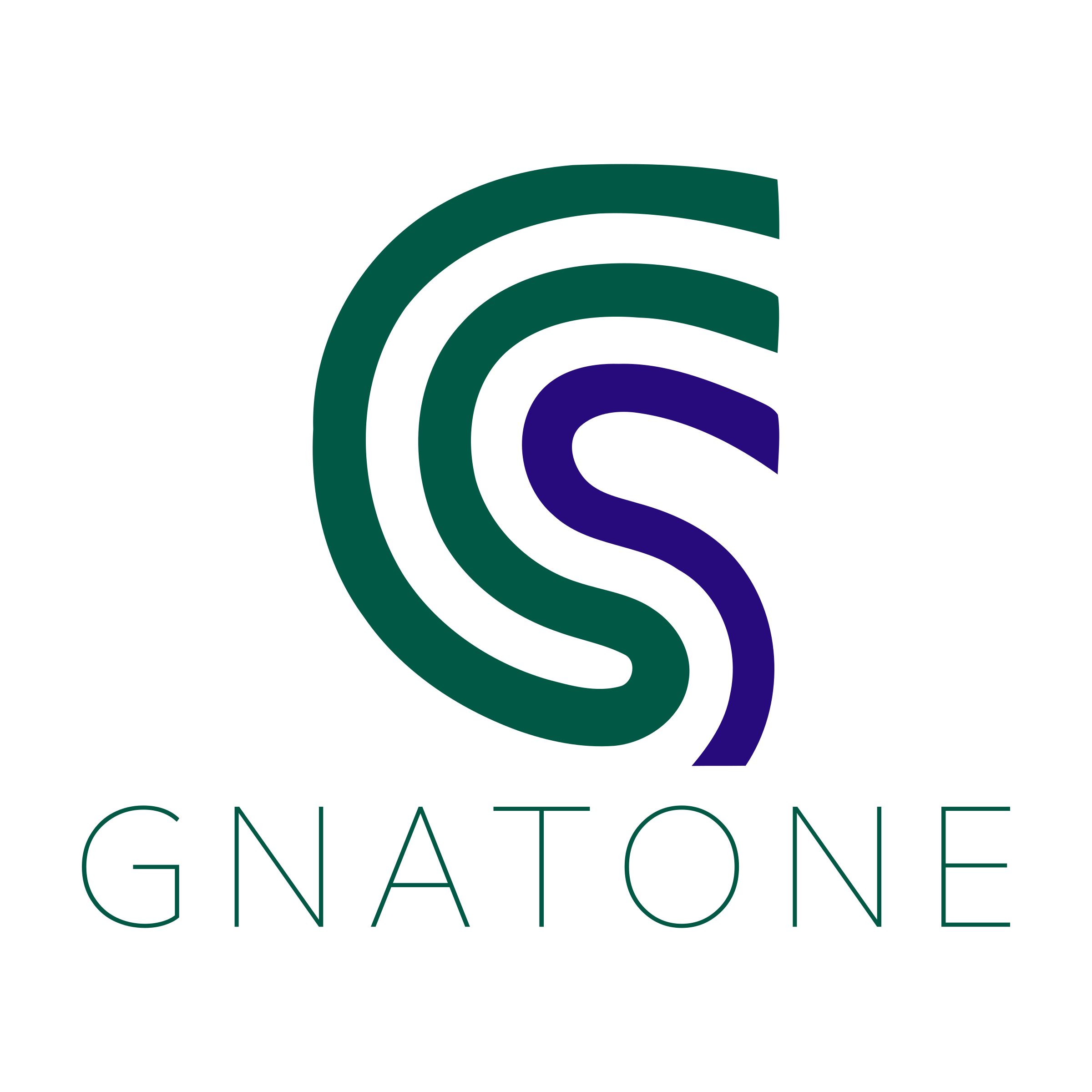 Логотип компании «GnatOne»