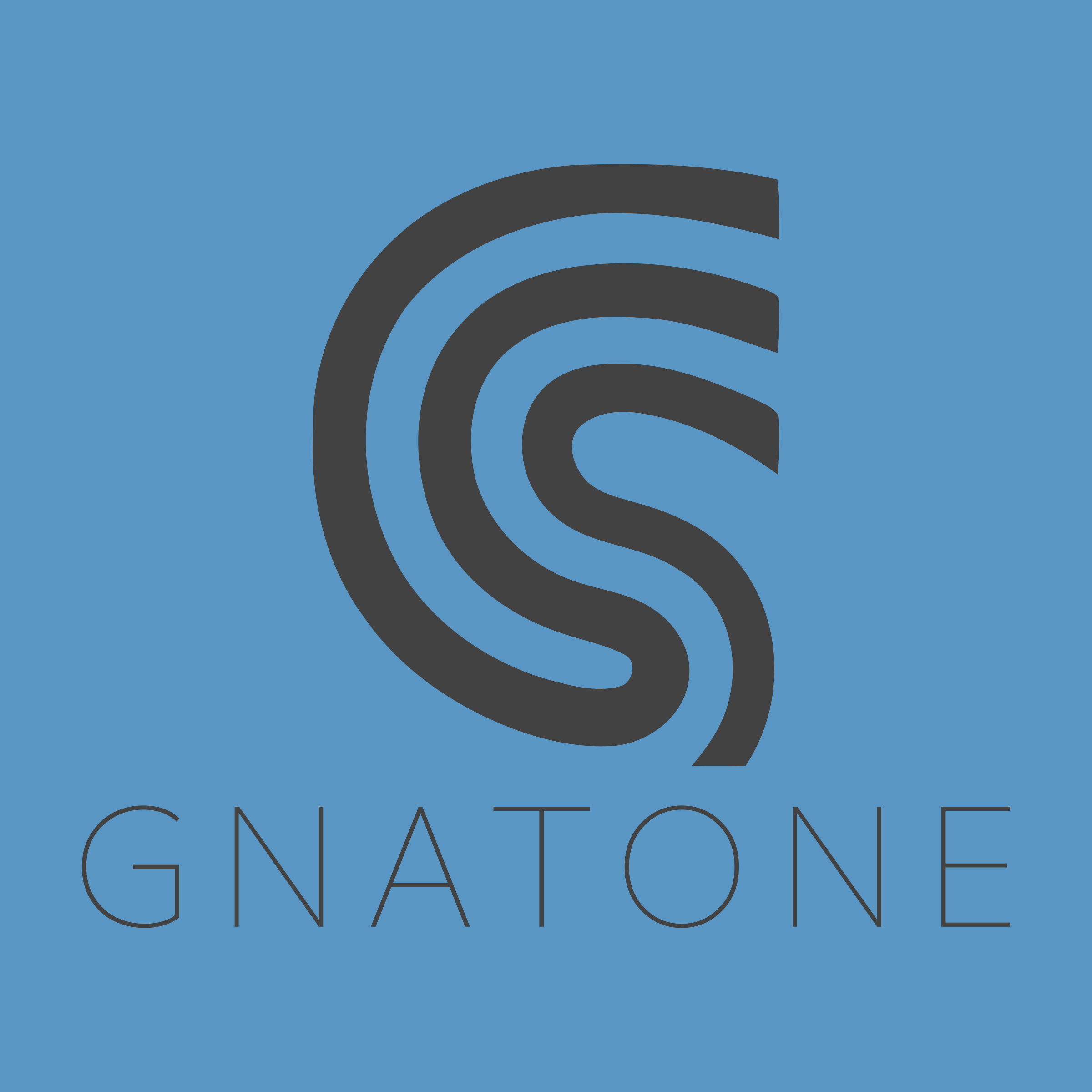 Логотип компании «GnatOne»