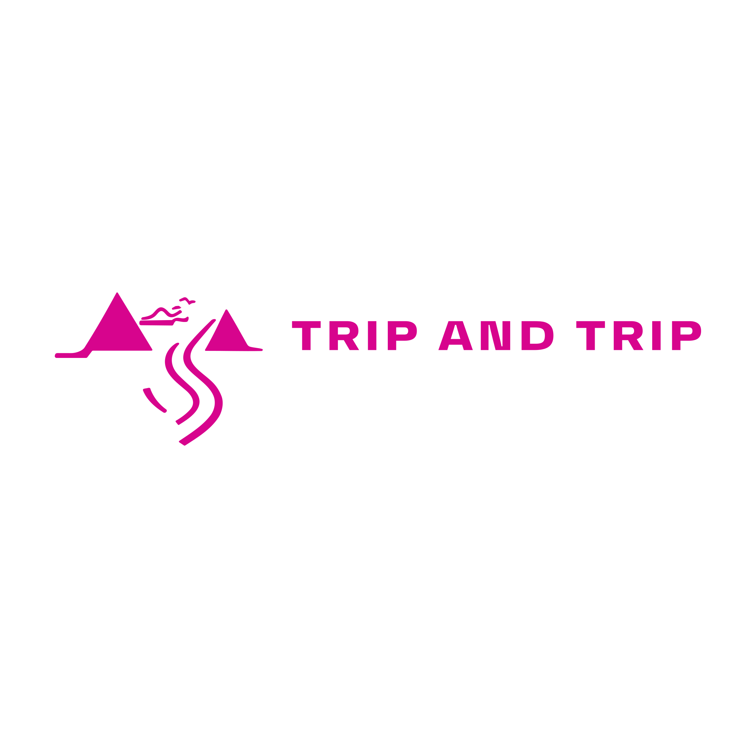 Company logo «Trip and Trip»