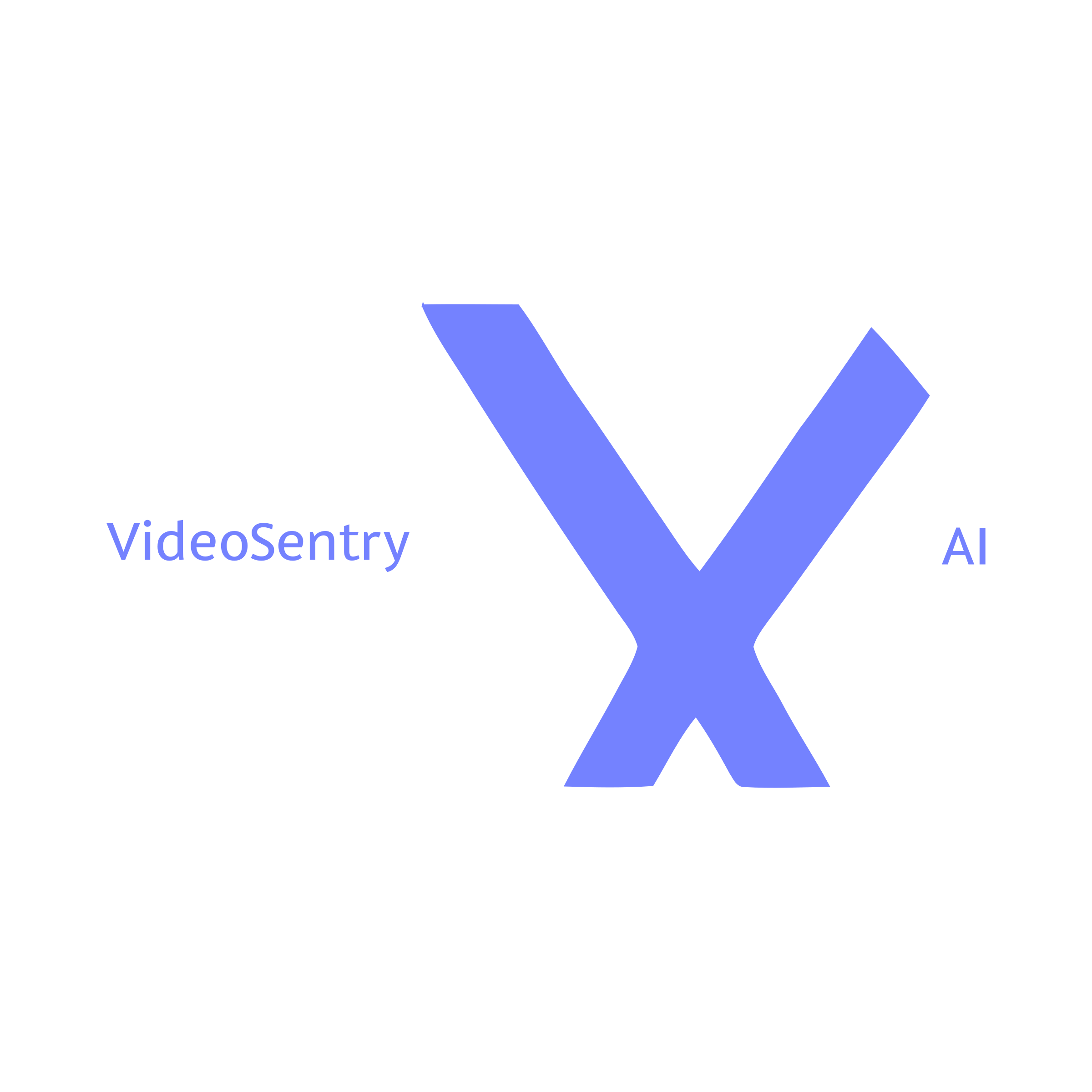 Логотип компании «VideoSentry AI»