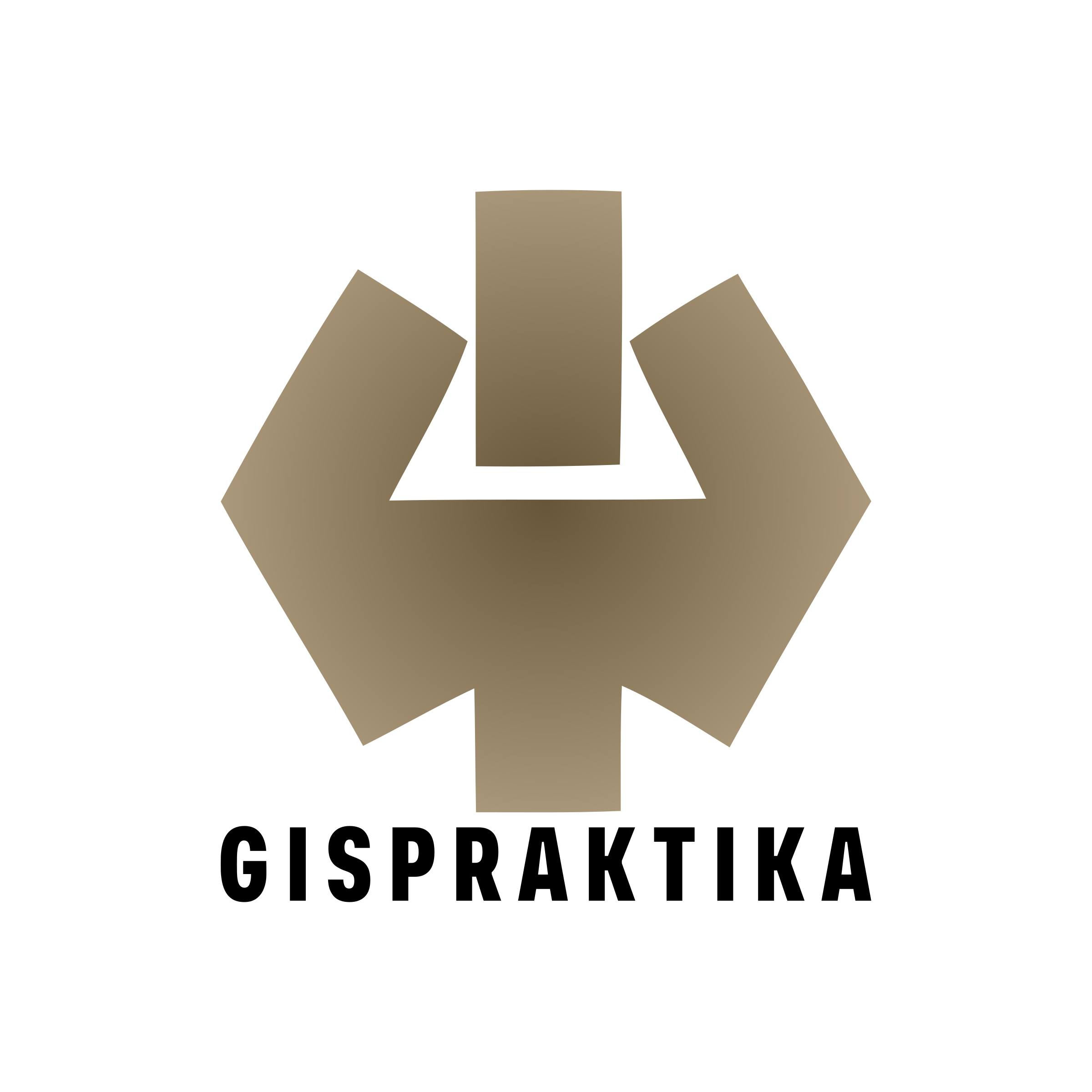 Company logo «GISPRAKTIKA»