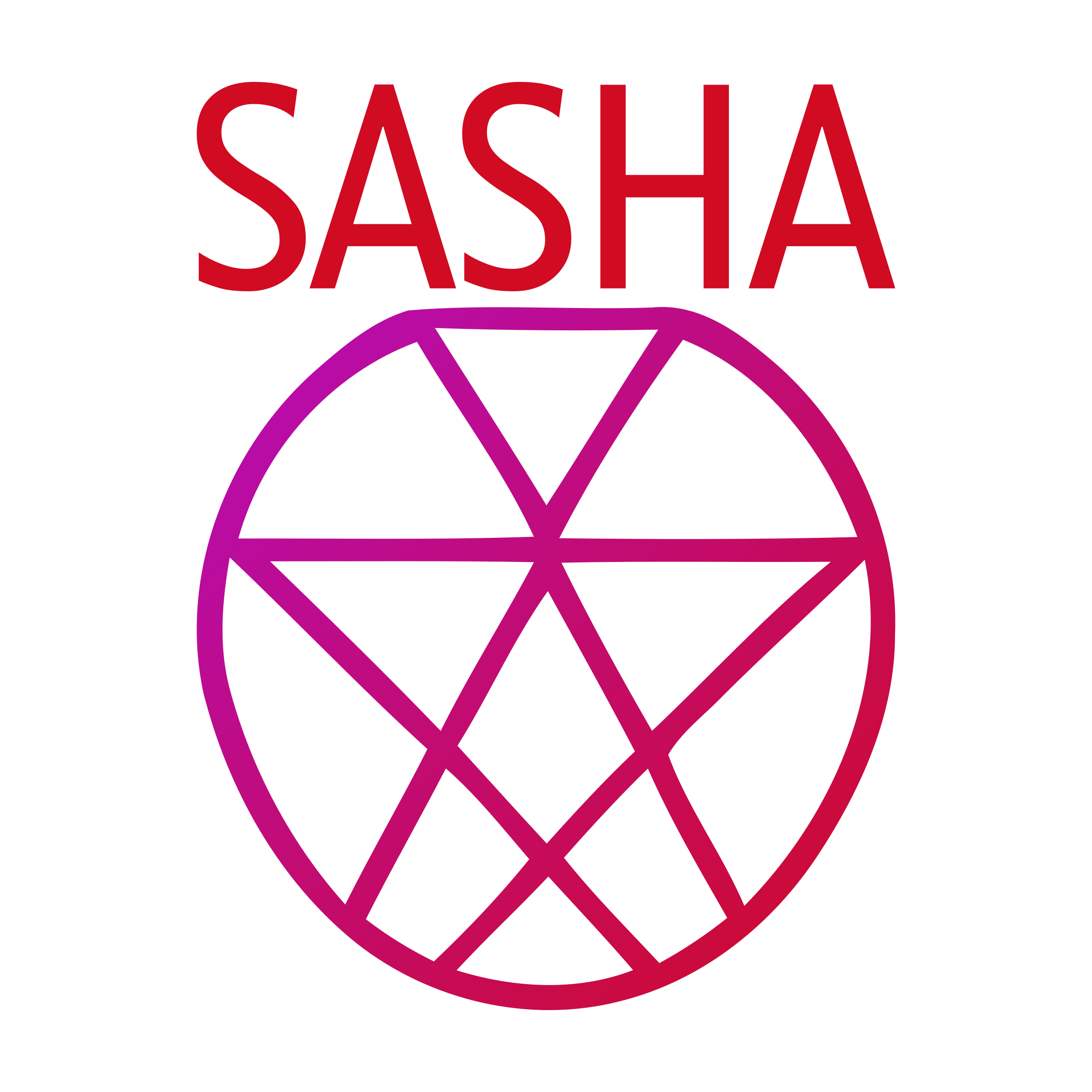 Логотип компании «SASHA»