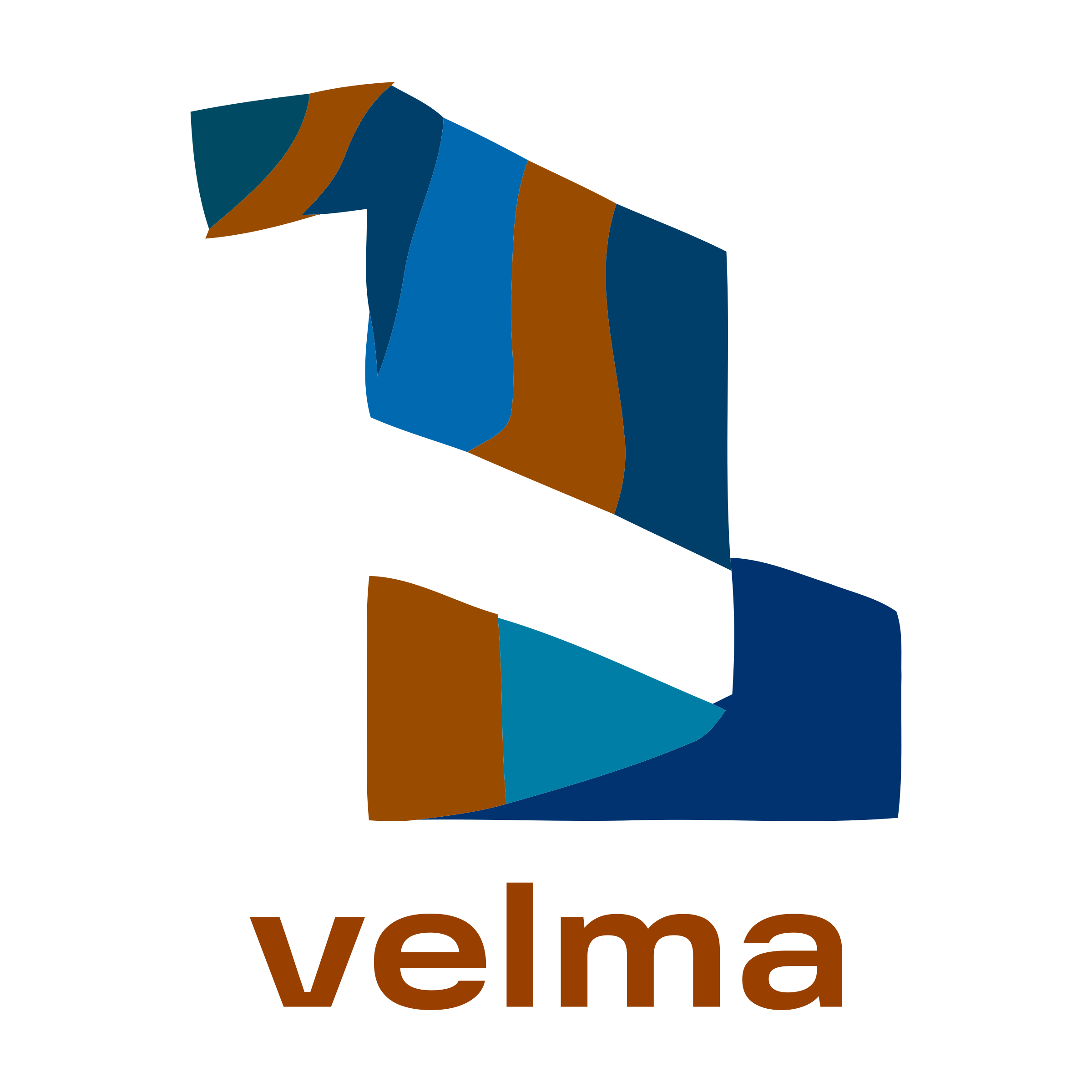 Логотип компании «velma»