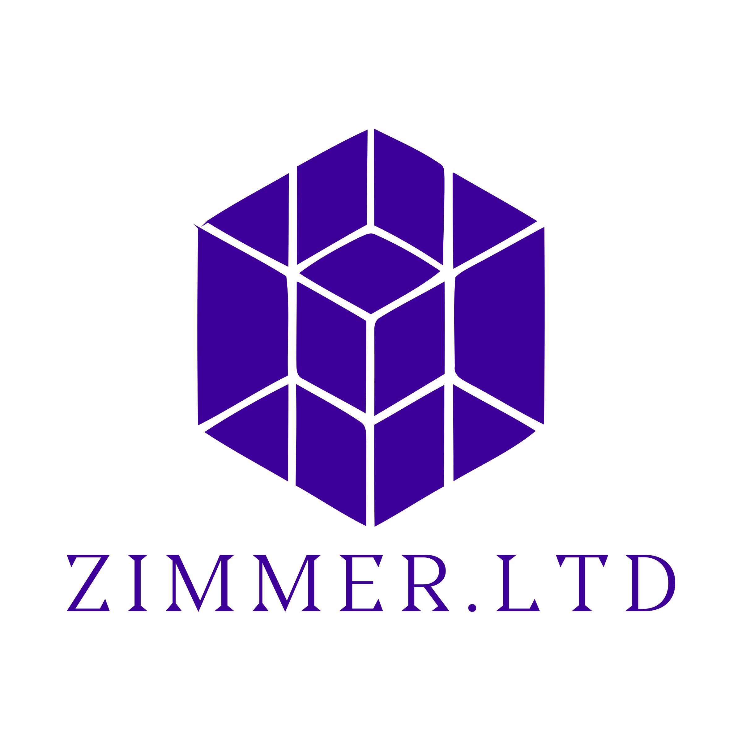 Company logo «Zimmer.LTD»