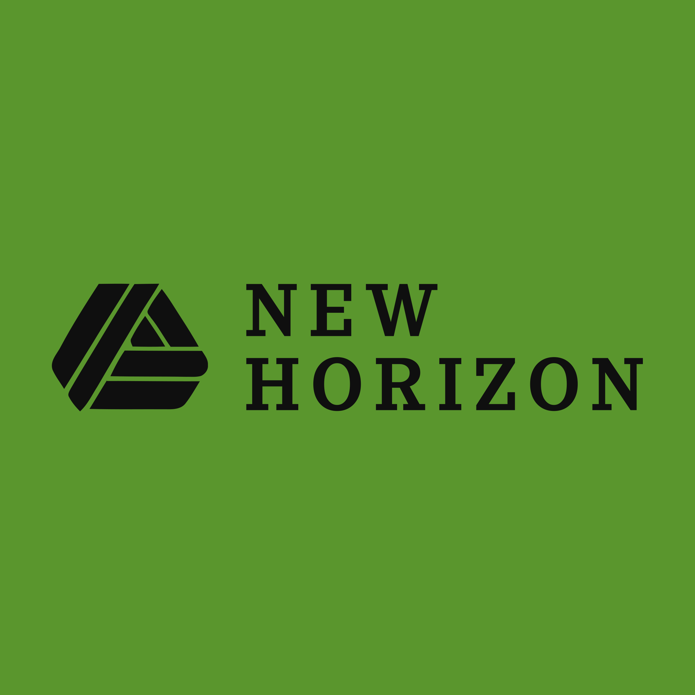 Company logo «NEW HORIZON»