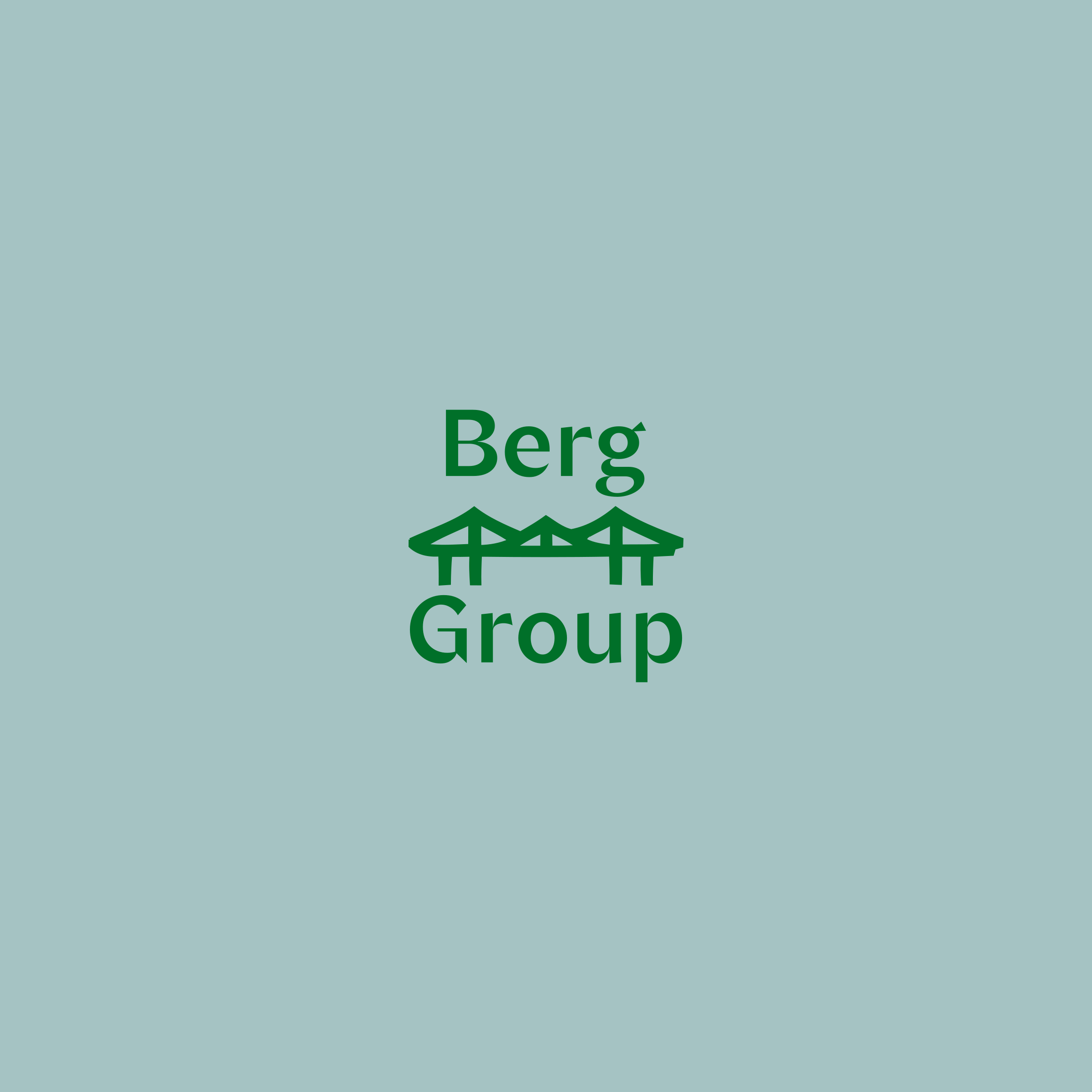 Логотип компании «Berg Group»