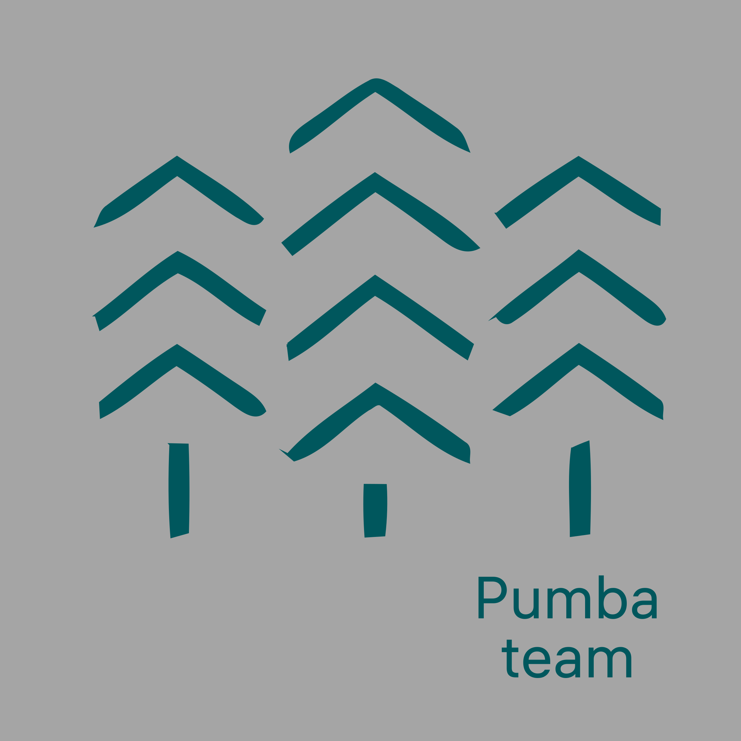 Company logo «Pumba team»