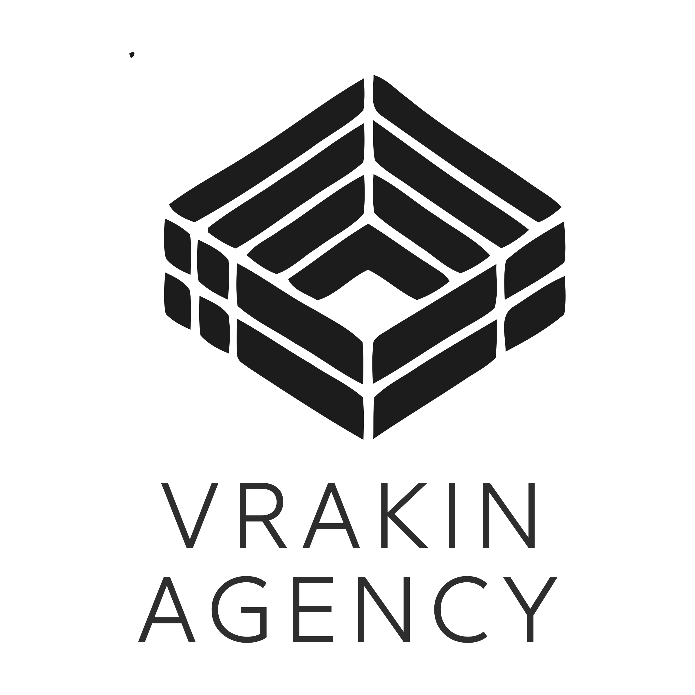 Логотип компании «vrakin agency»