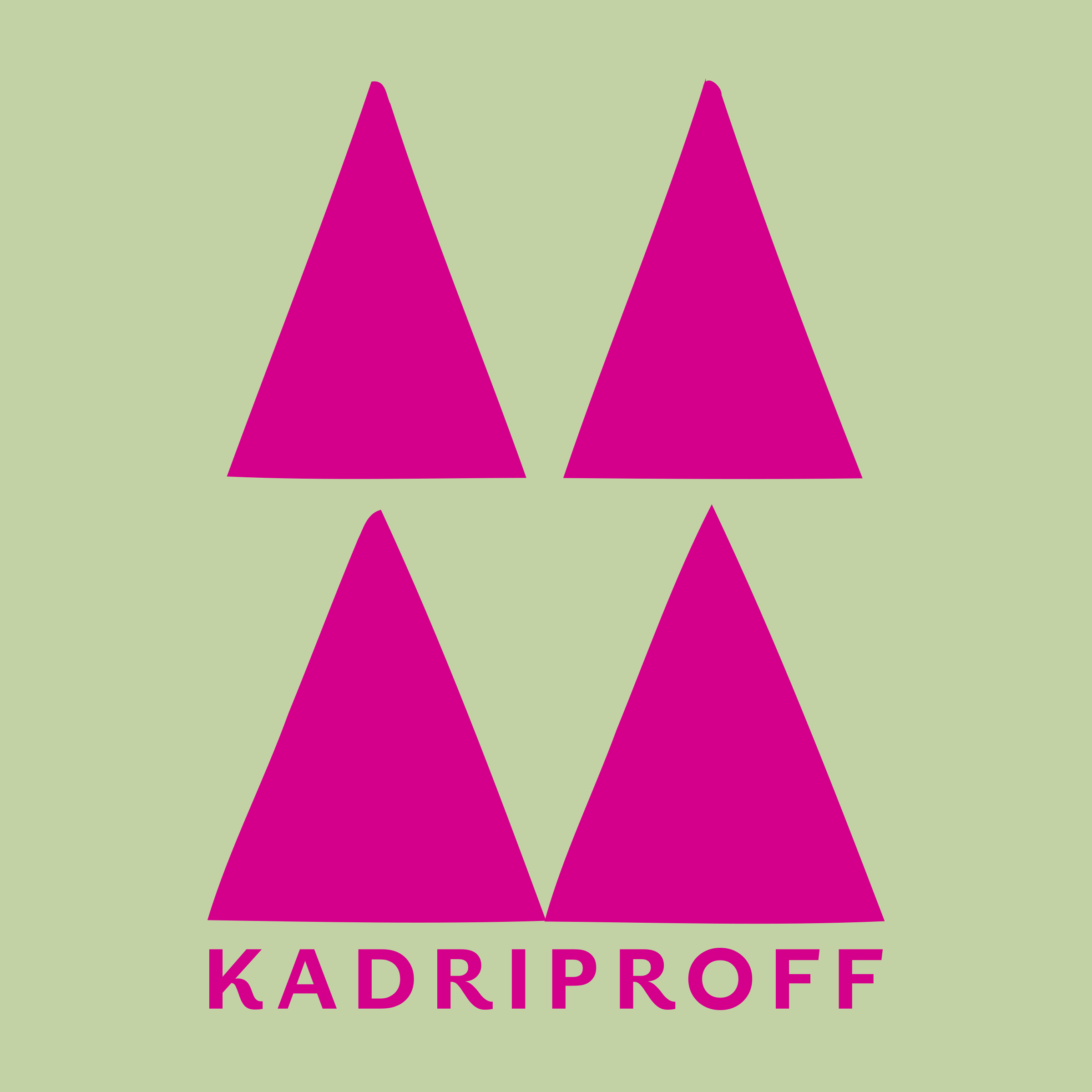 Company logo «KADRIPROFF»