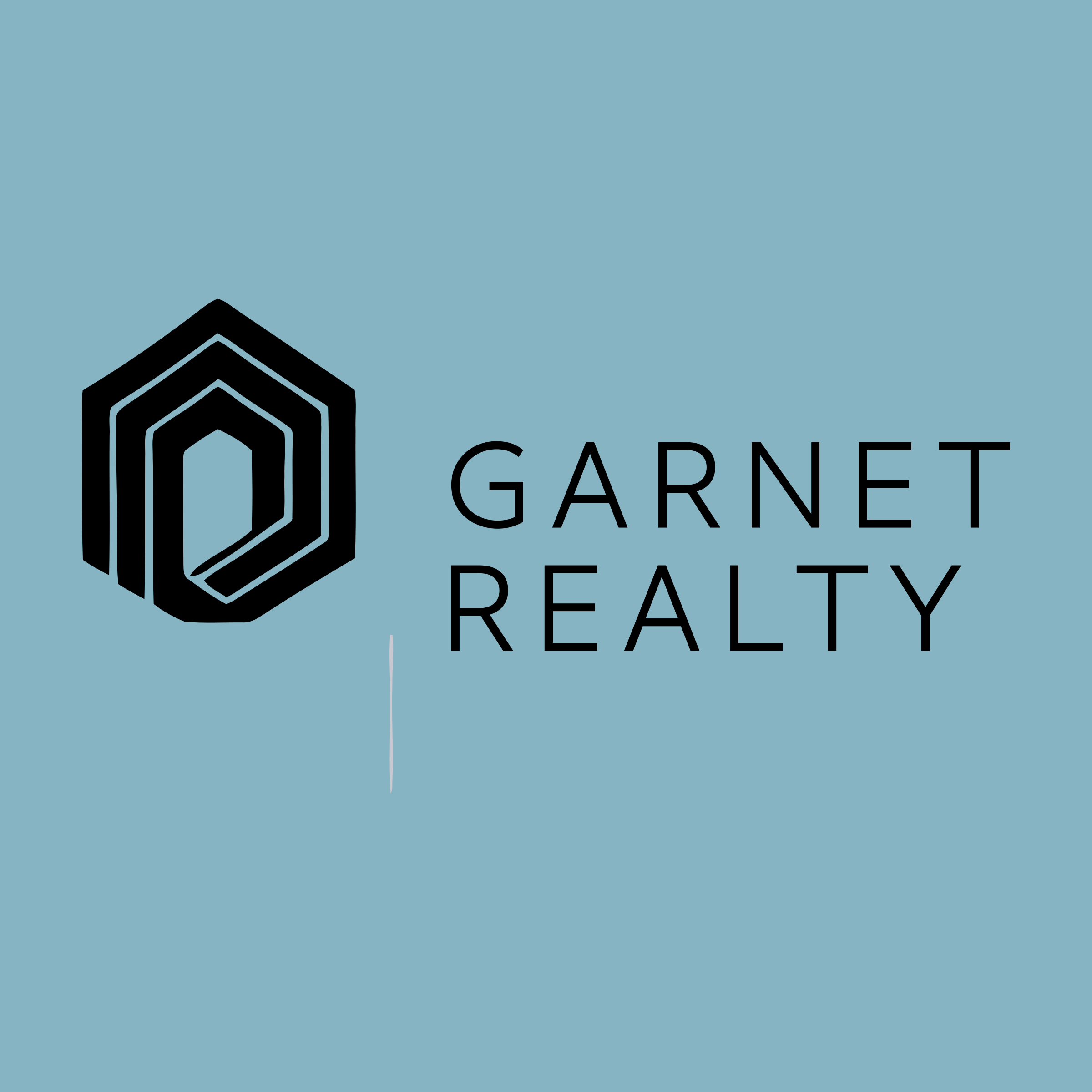 Логотип компании «Garnet realty»