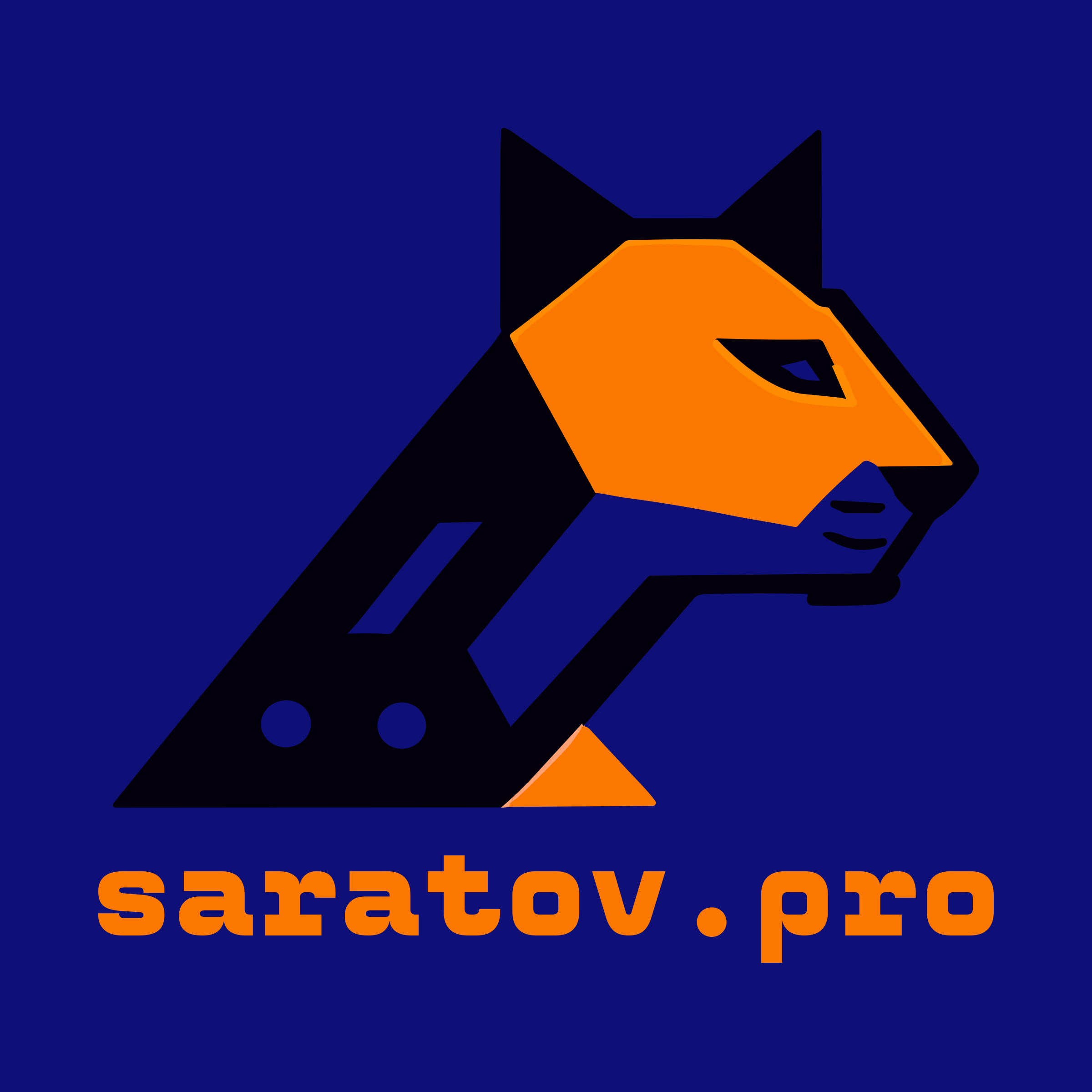 Логотип компании «saratov.pro»