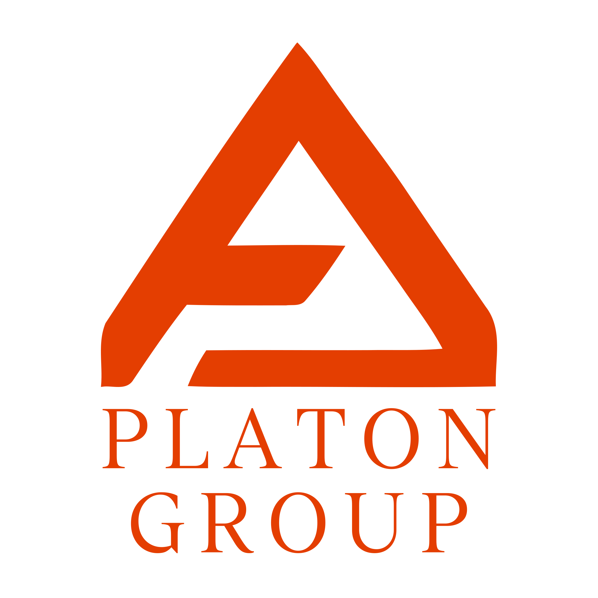 Логотип компании «Platon group»