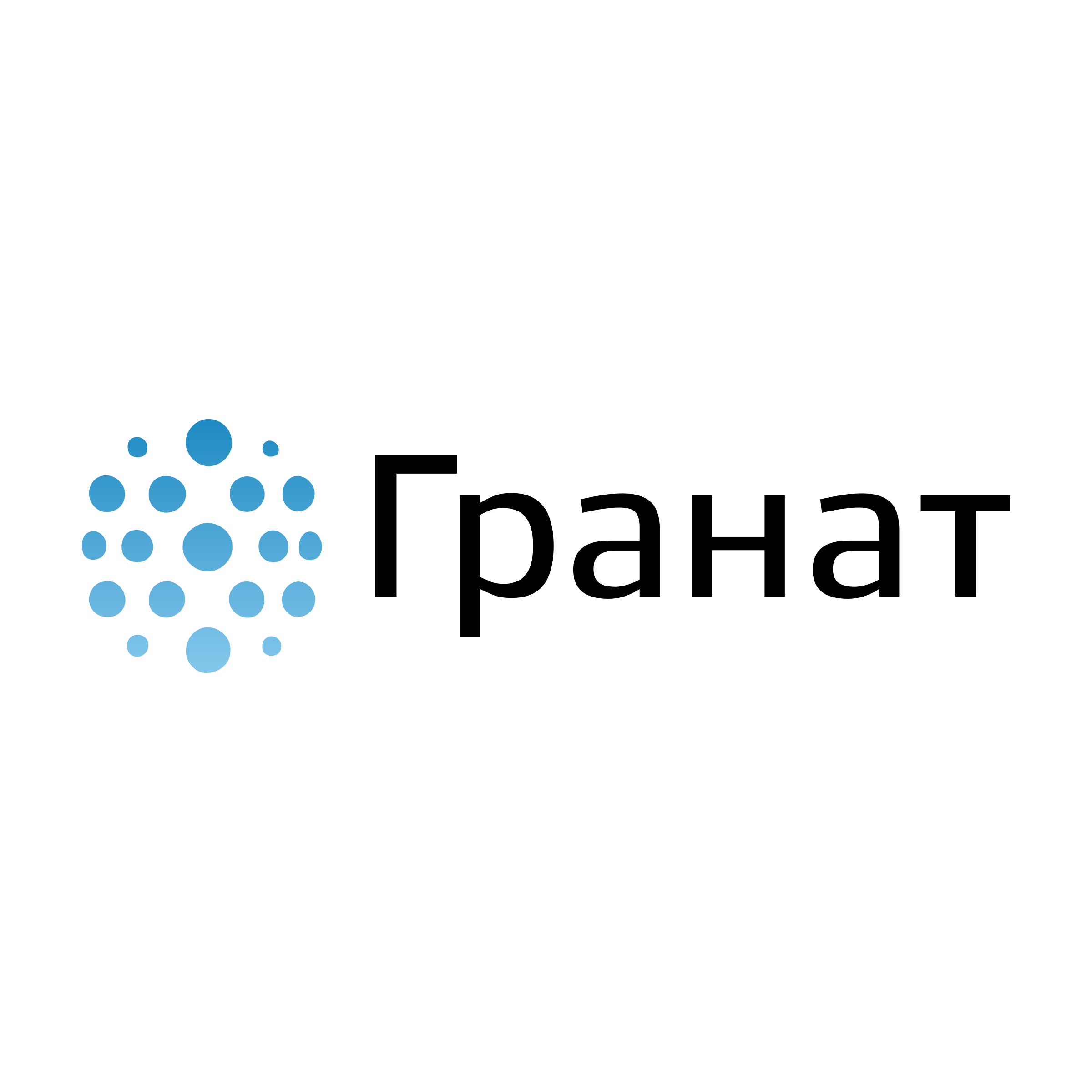 Company logo «Гранат»