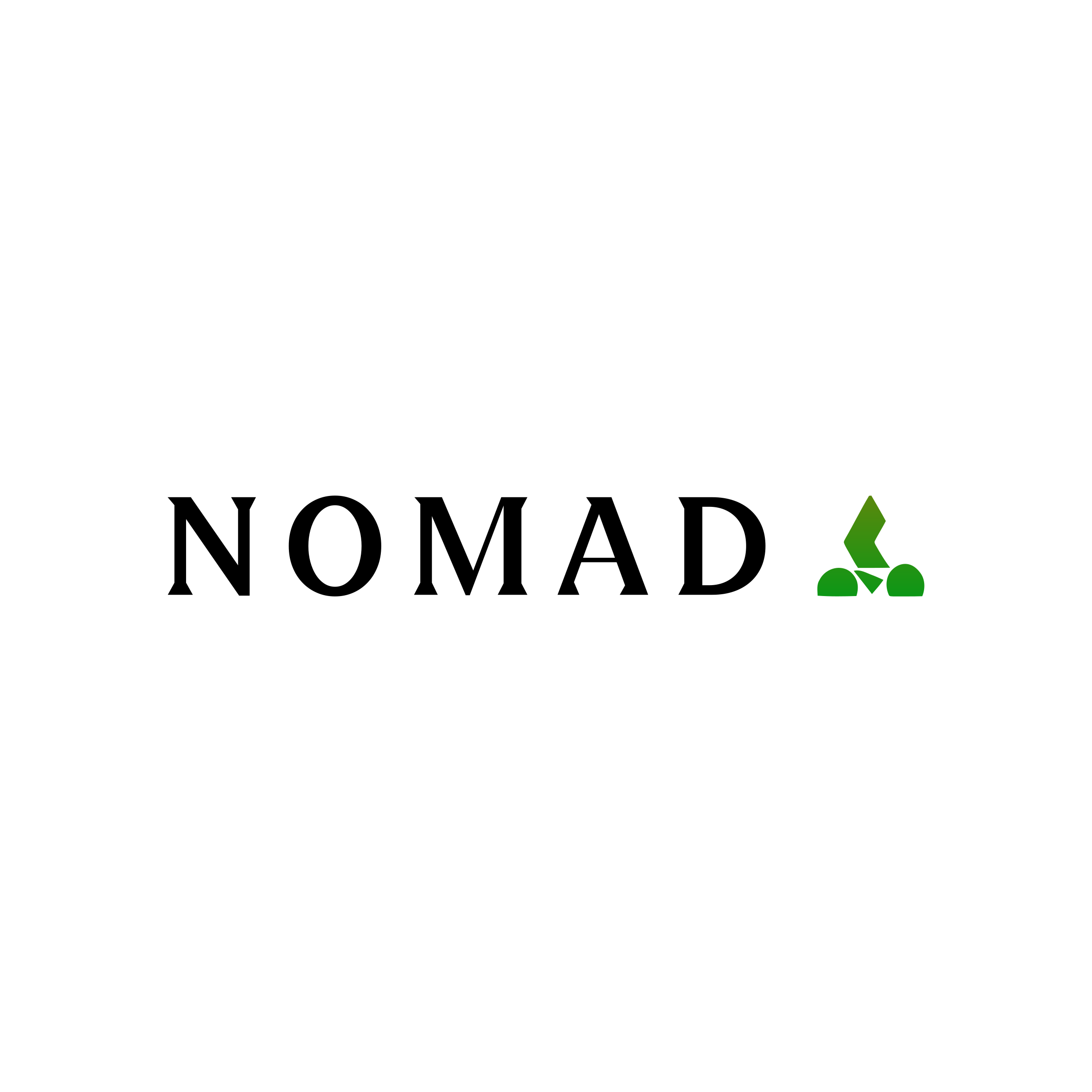 Логотип компании «Nomad»