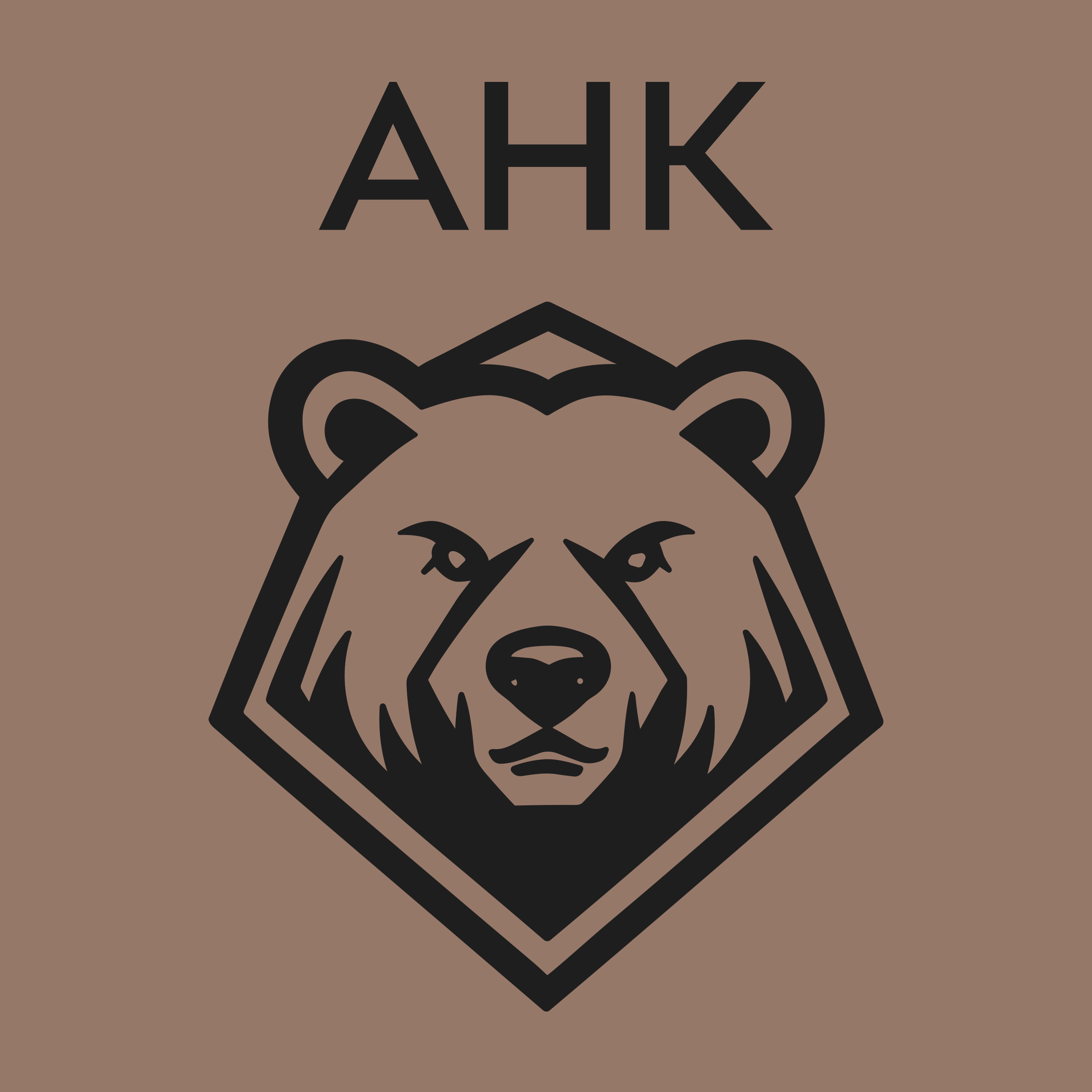 Company logo «АНК»