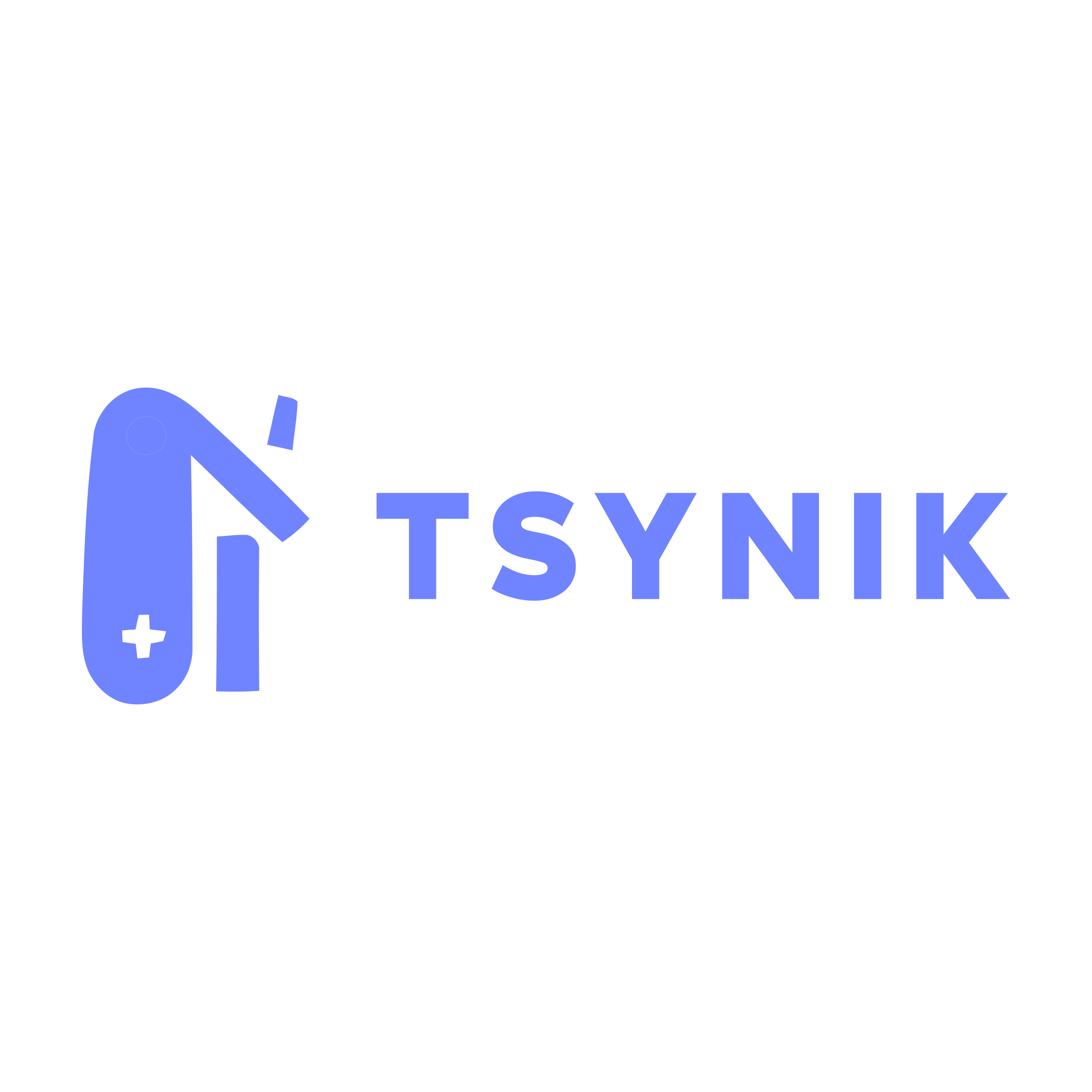 Company logo «tsynik»