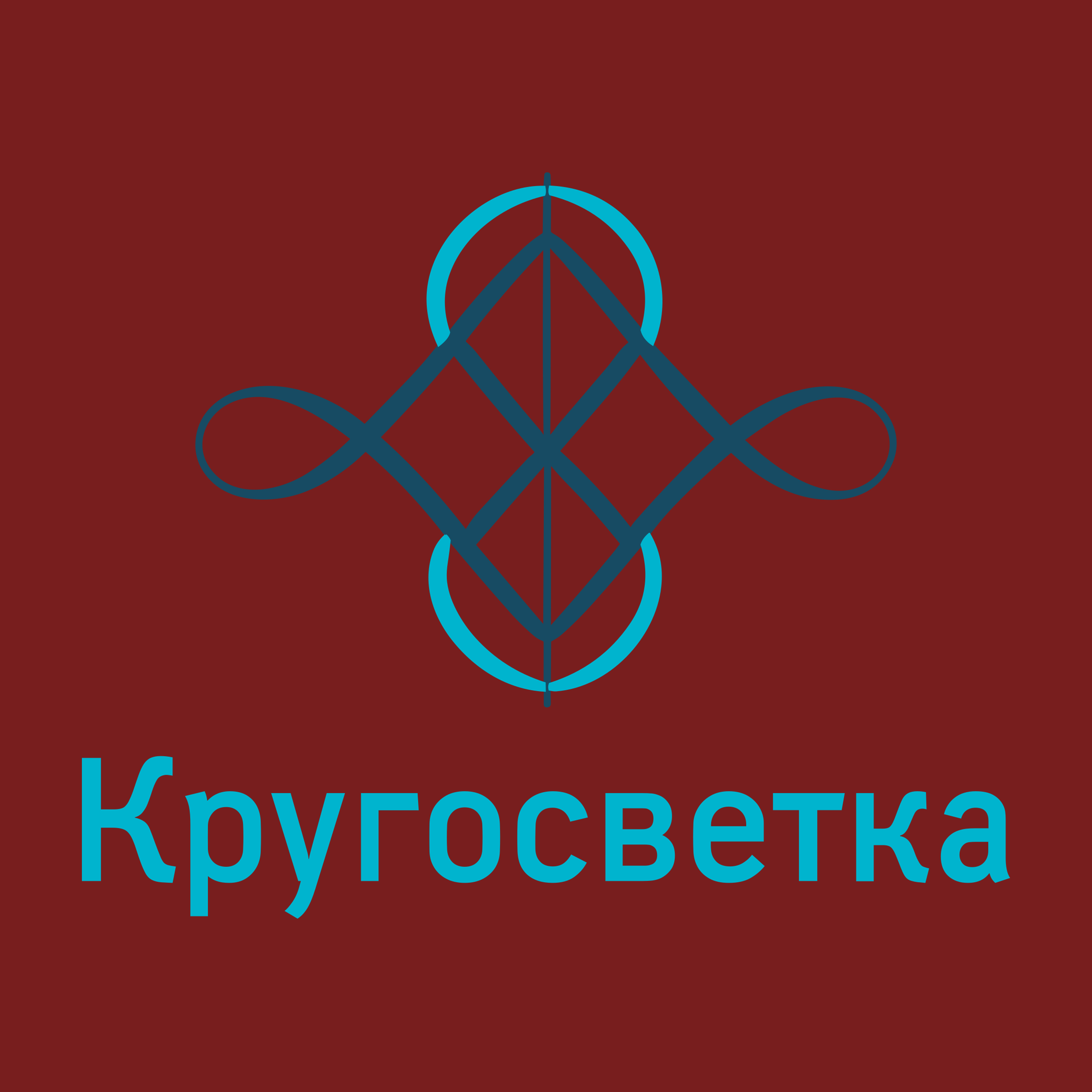 Логотип компании «Кругосветка»