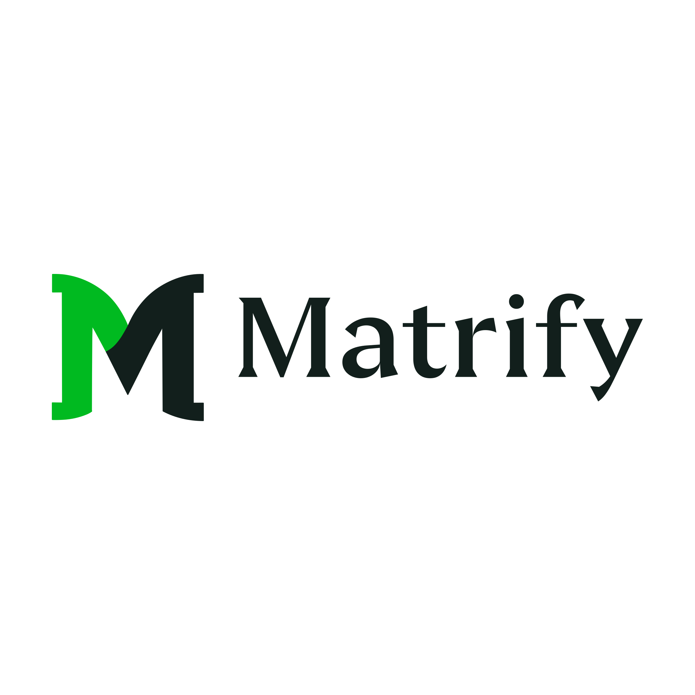 Company logo «Matrify»