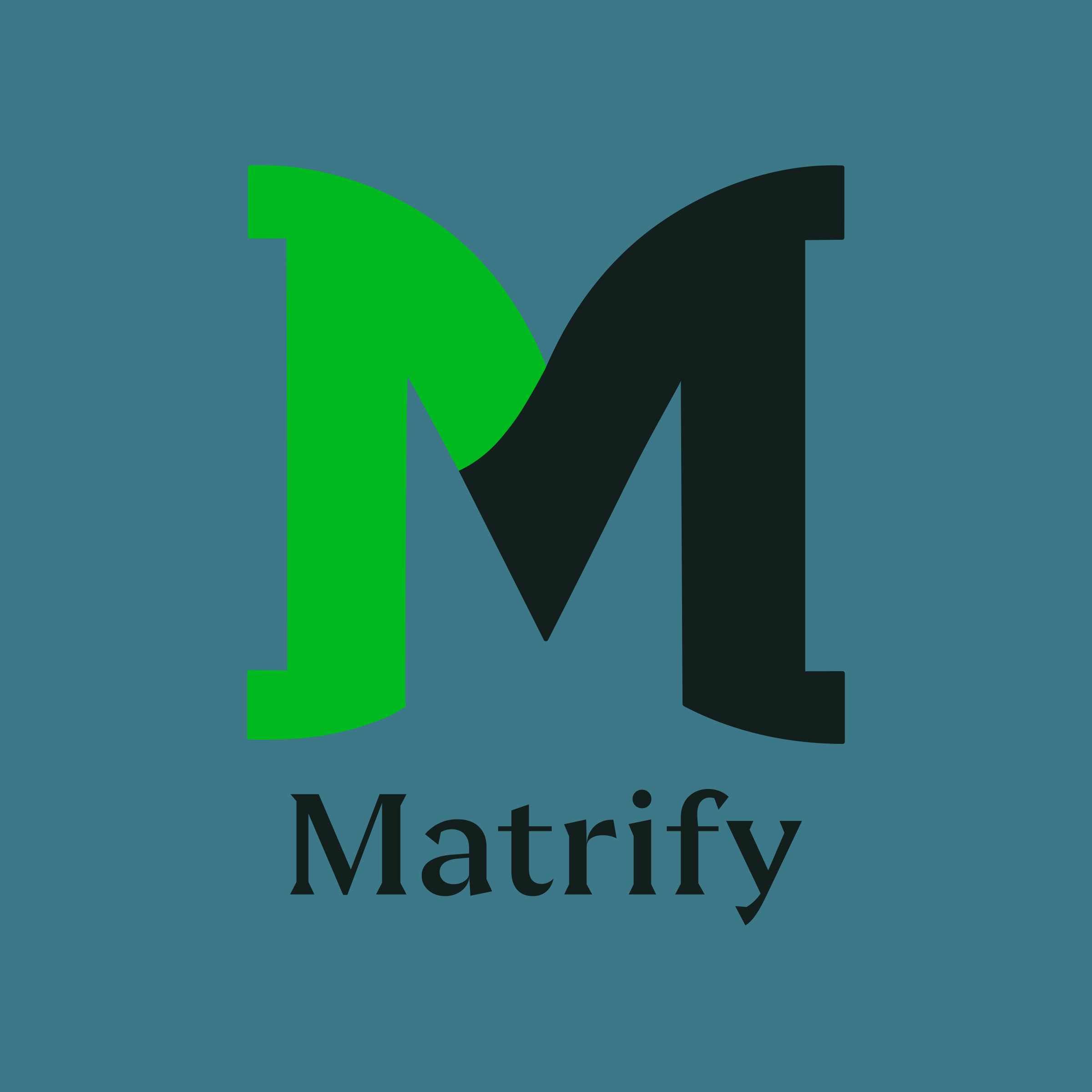 Company logo «Matrify»