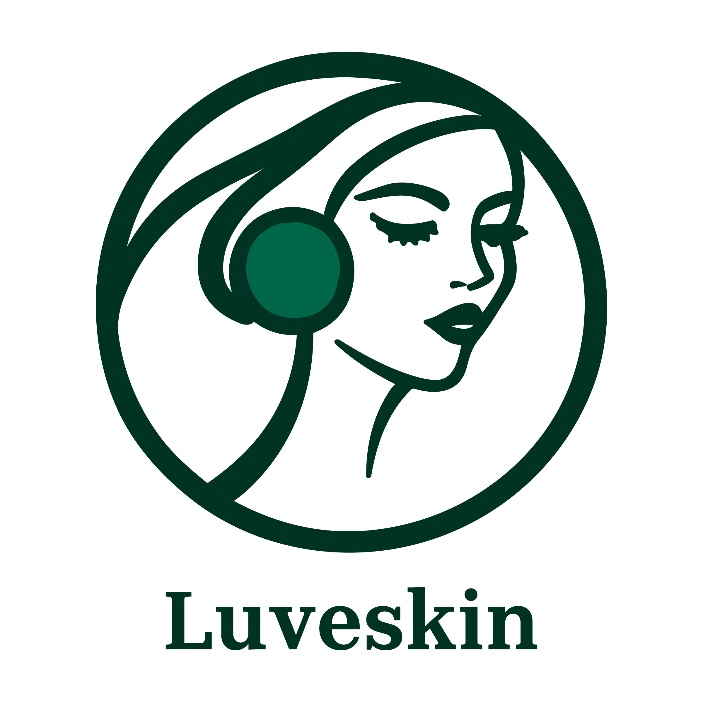 Company logo «Luveskin»