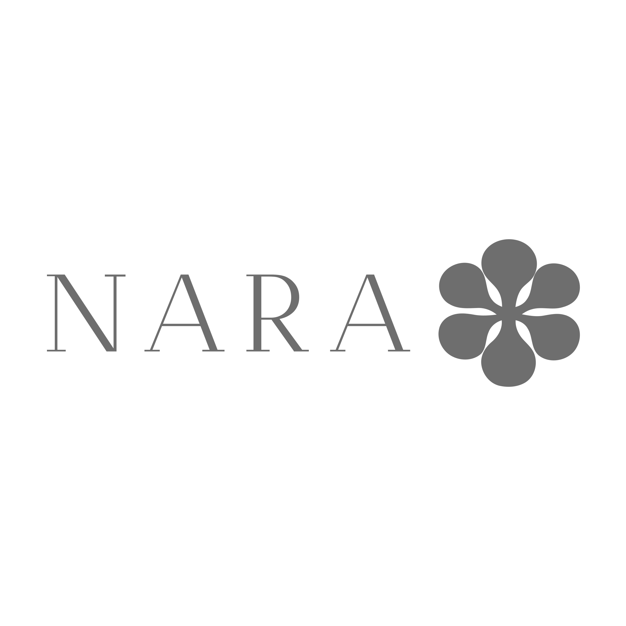 Company logo «Nara»