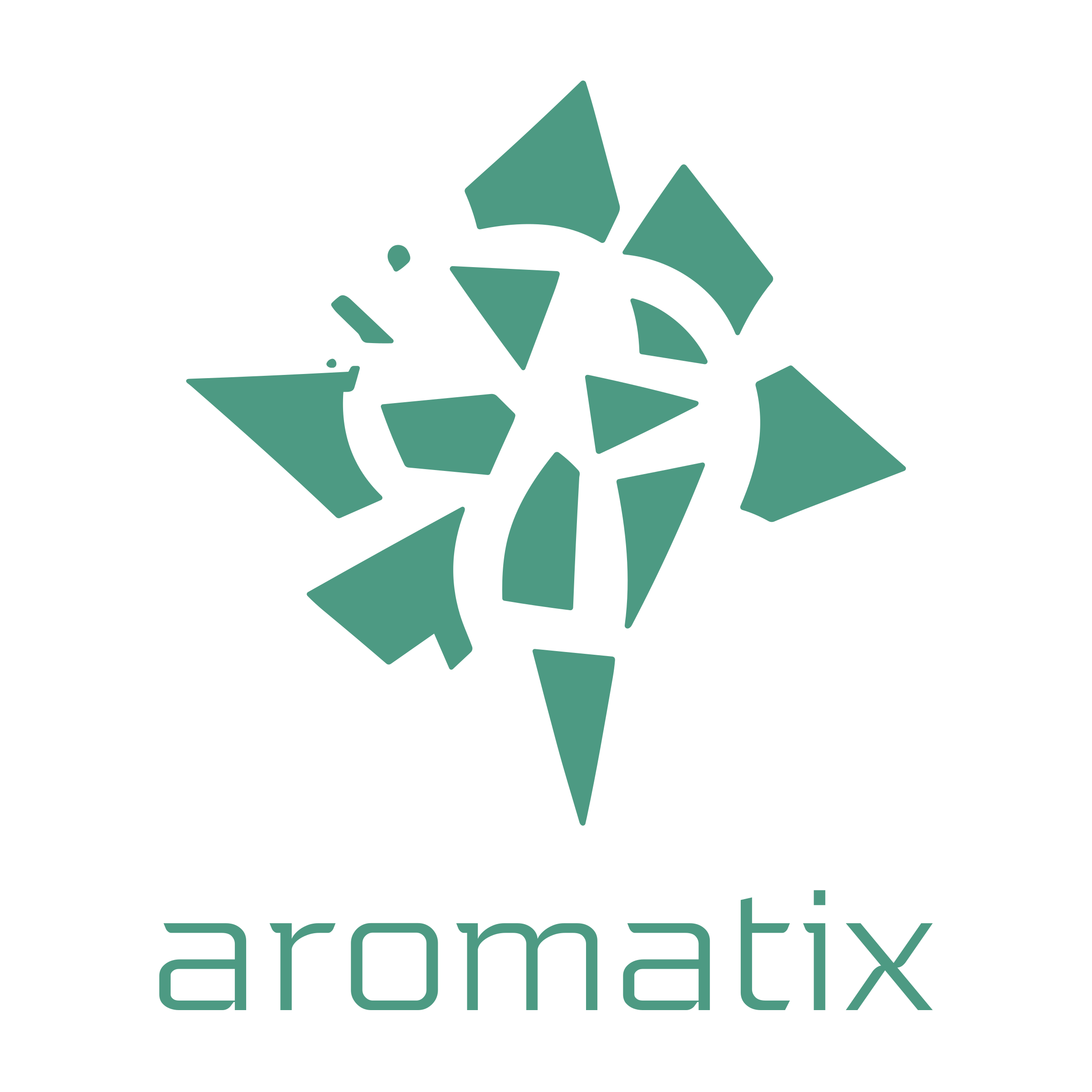 Company logo «aromatix»