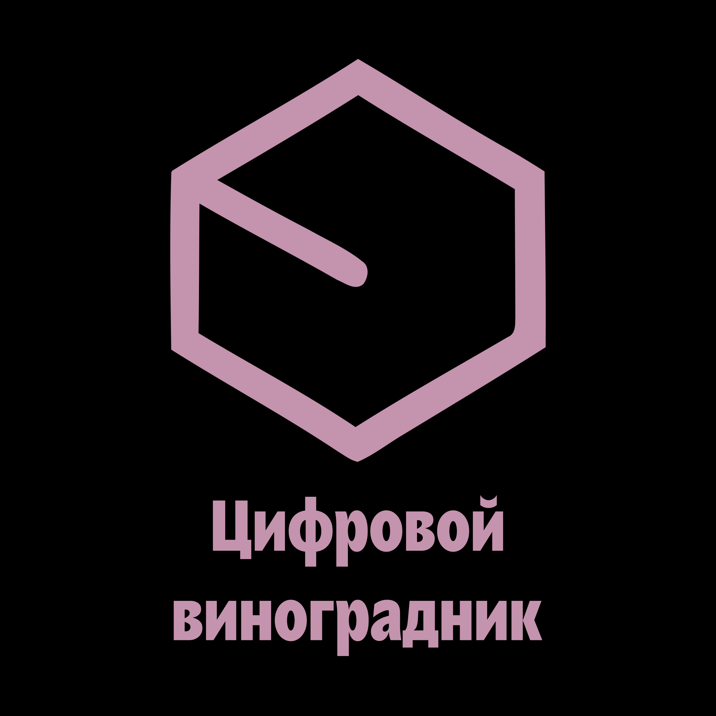 Логотип компании «Цифровой виноградник»