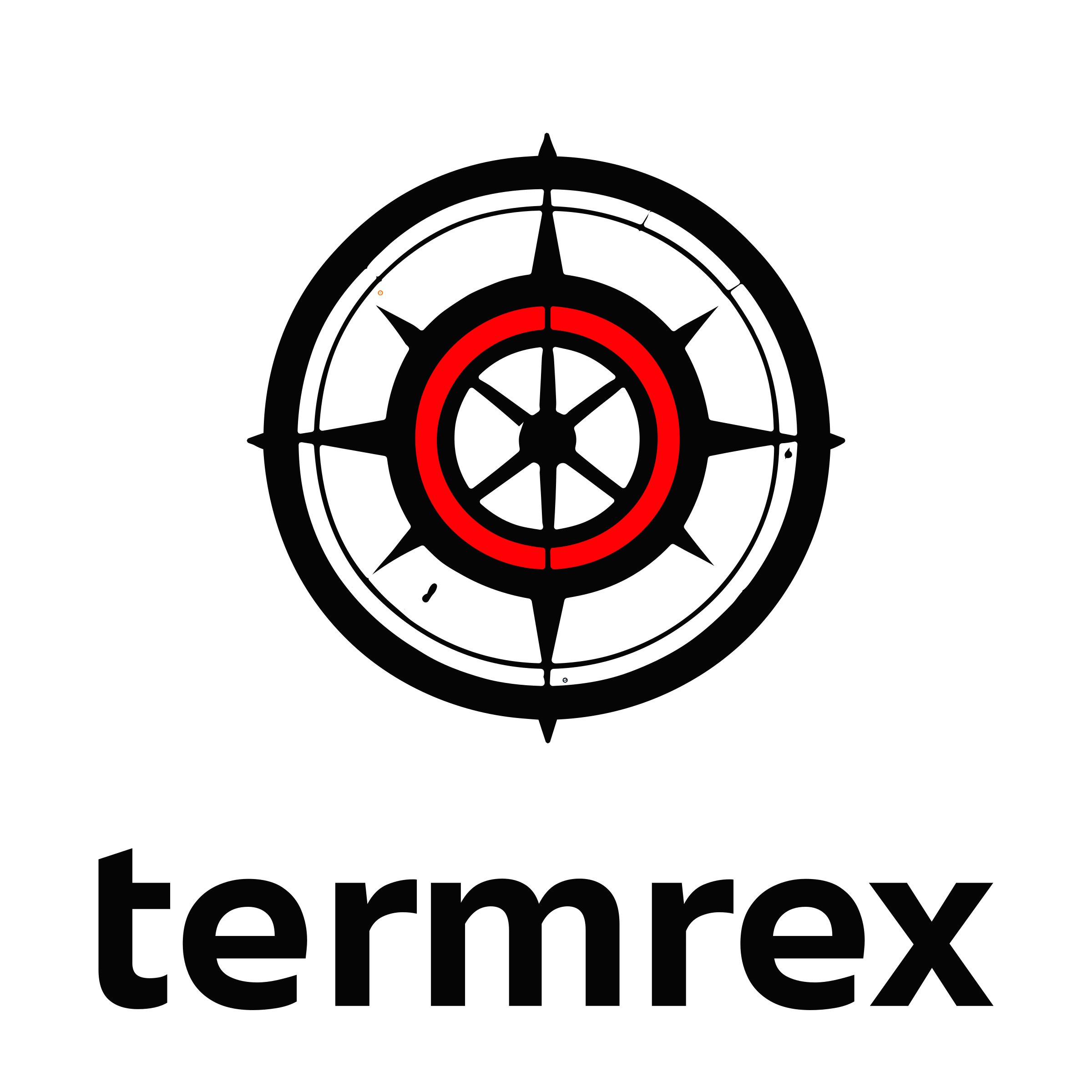 Company logo «termrex»