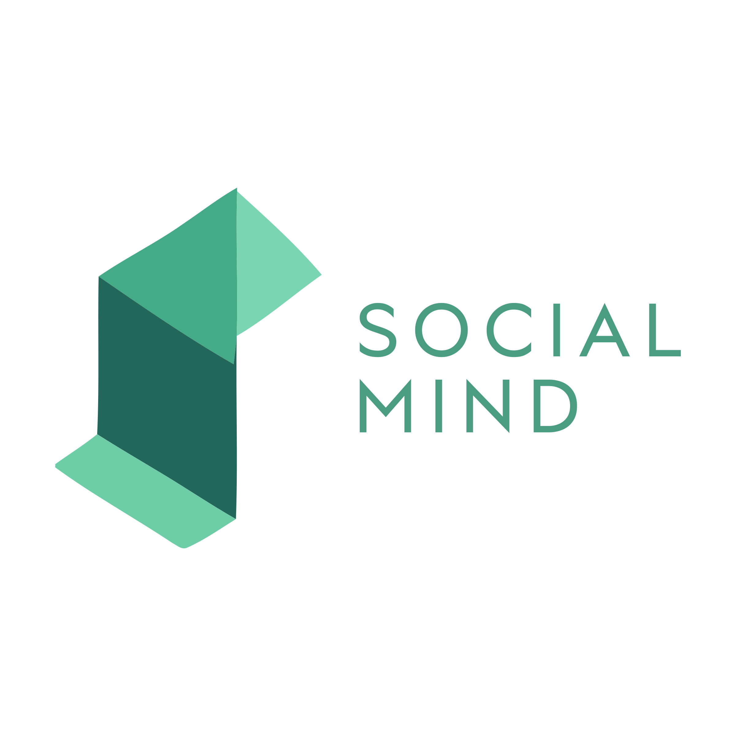 Company logo «Social Mind»