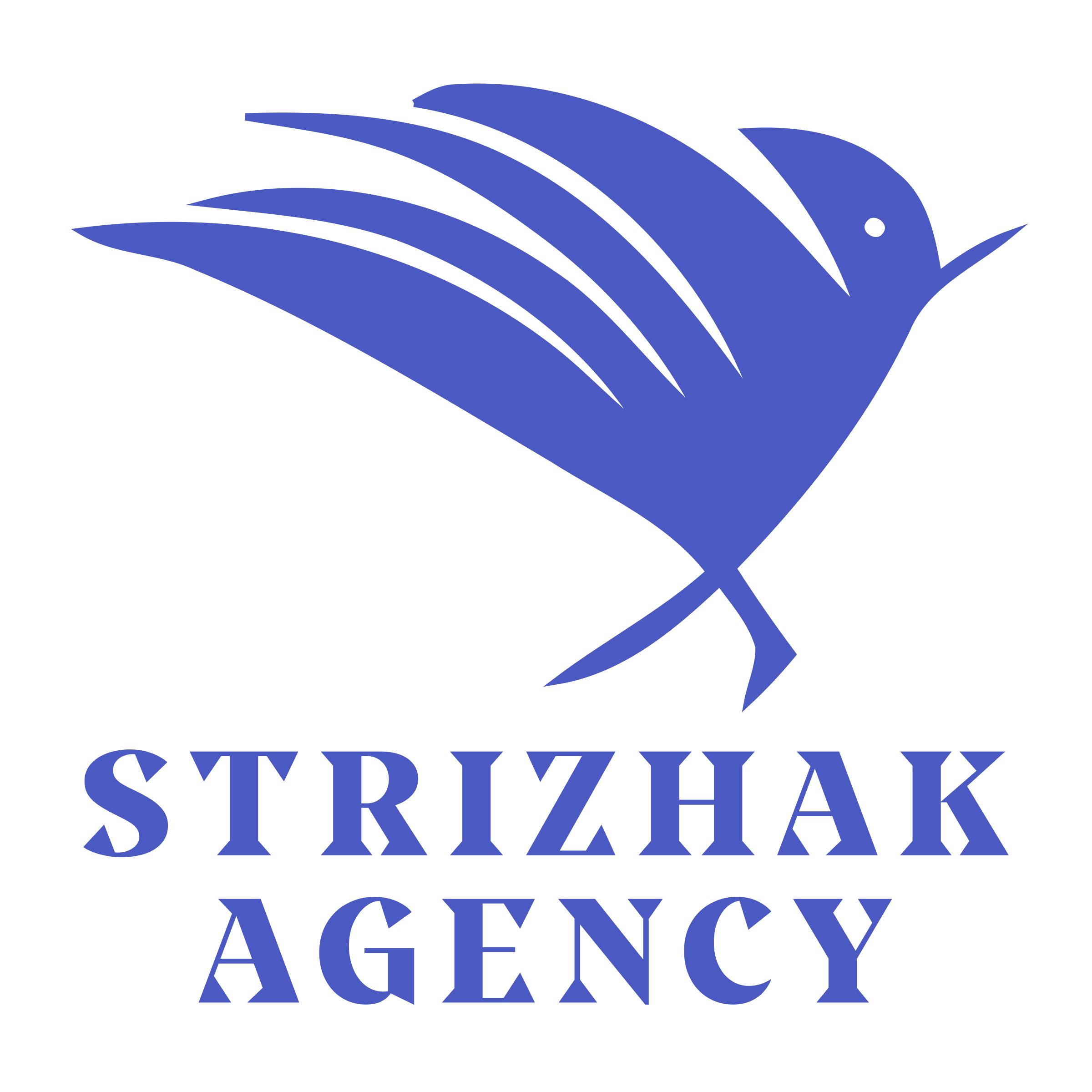 Логотип компании «Strizhak Agency»