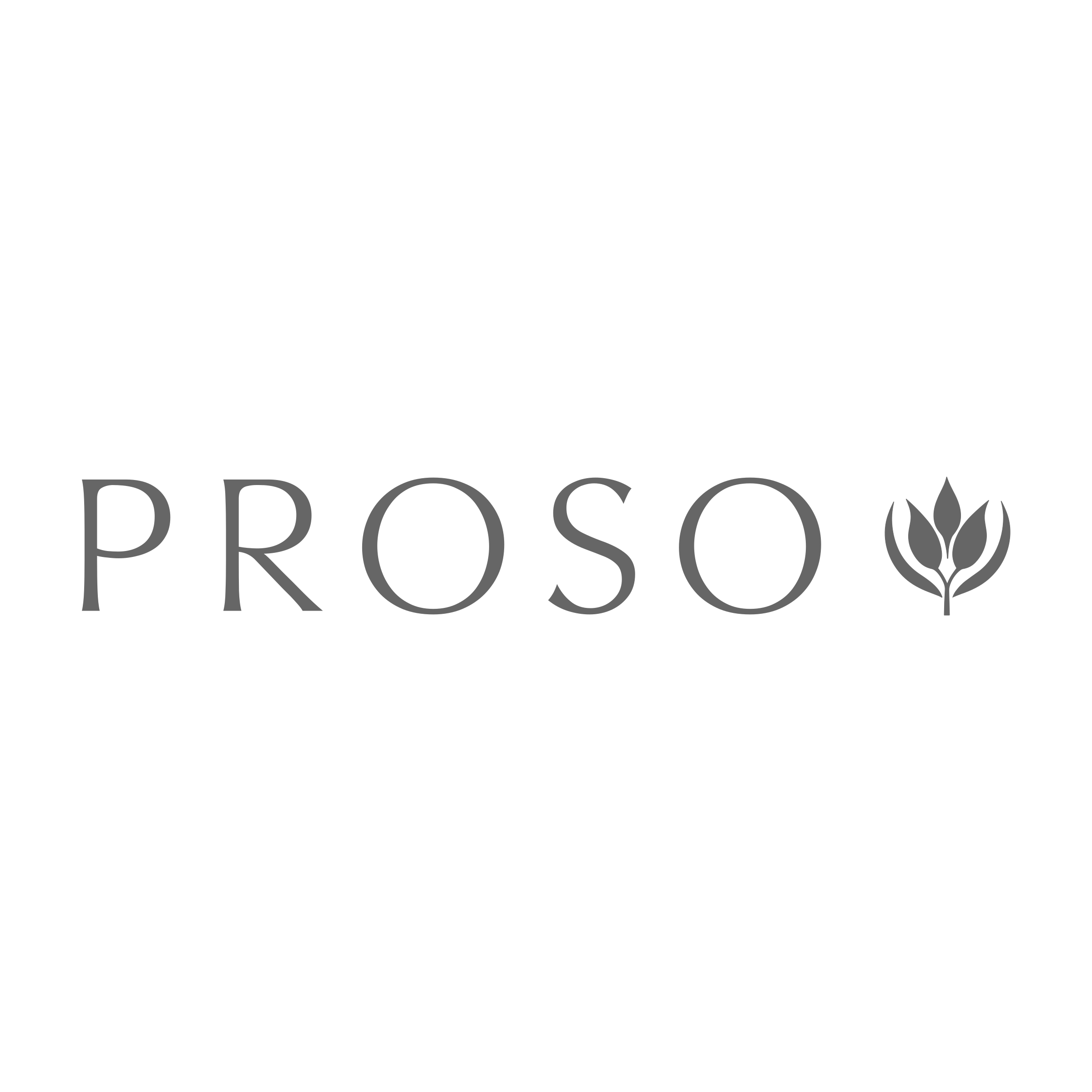 Логотип компании «PROSO»