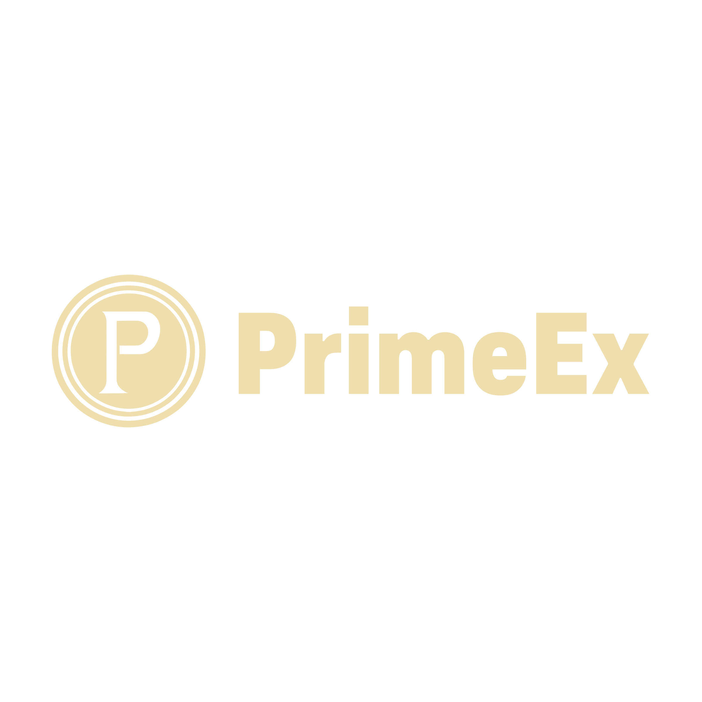 Company logo «PrimeEx»