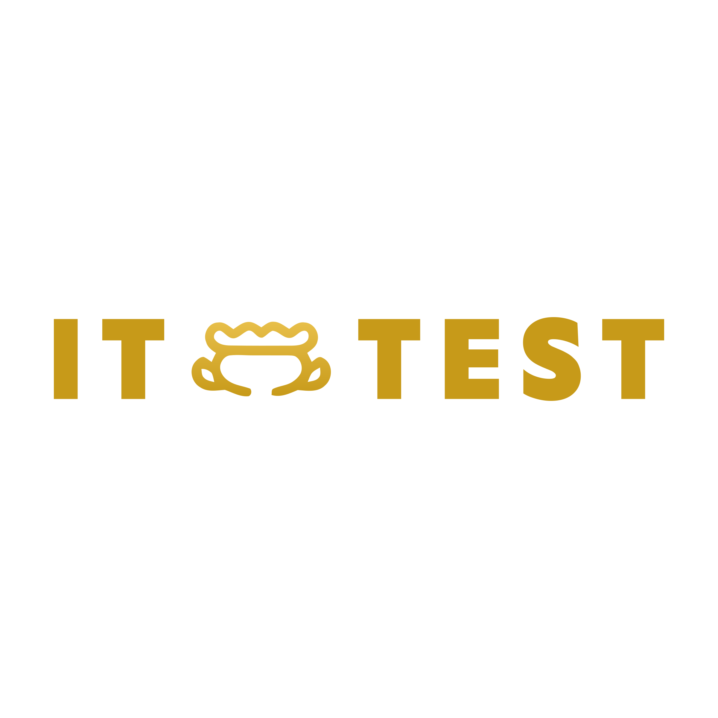 Company logo «IT Test»