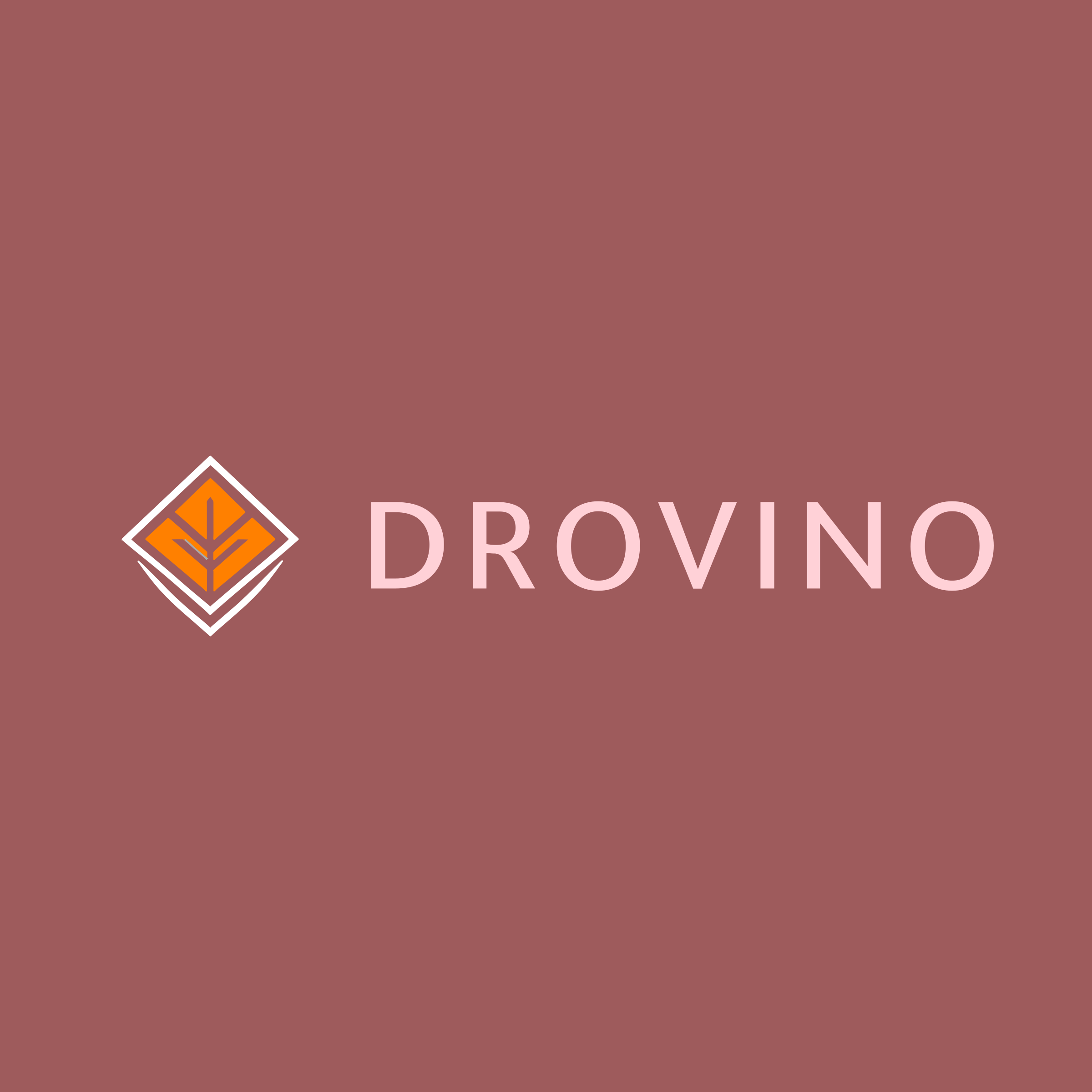 Логотип компании «DroVino»