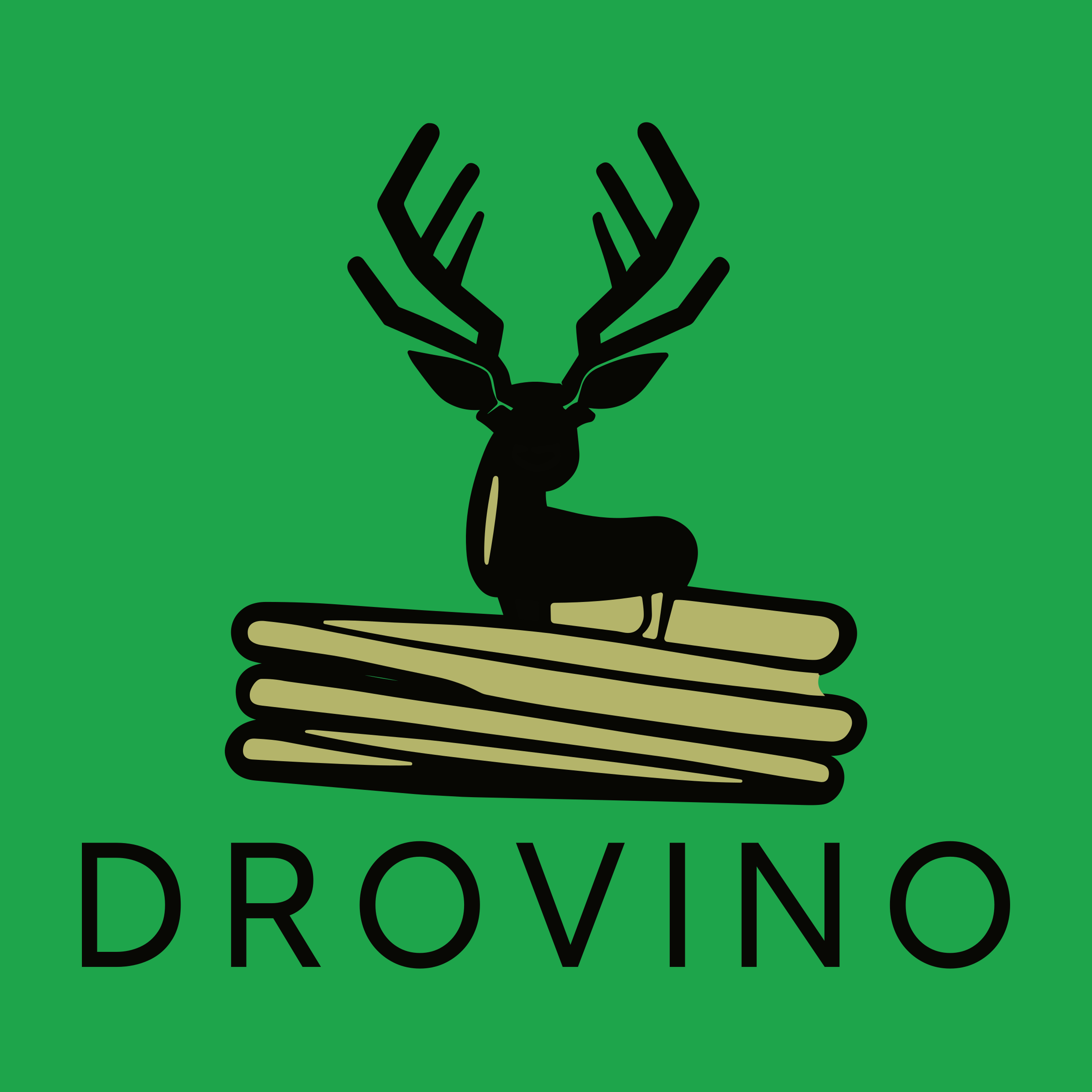 Логотип компании «DROVINO»